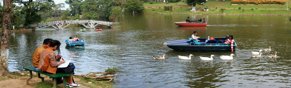 Honeymoon Package for Newly Wed Couple (6 Nights / 7 Days ) in attractive places like Guwahati - Shillong - Cherrapunjee - Umiam - Guwahati, List of Travel Agents in Guwahati Assam Northeast India for Honeymoon Tour Operator Travel Agent, List of Travel Agents in Guwahati Assam Northeast India for Honeymoon National Park, List of Travel Agents in Guwahati Assam Northeast India for Honeymoon Tour Operator, List of Travel Agents in Guwahati Assam Northeast India for Honeymoon Travel Agent, Travel Agent Kaziranga, List of Travel Agents in Guwahati Assam Northeast India for Honeymoon Packaged Tour, Tour Package List of Travel Agents in Guwahati Assam Northeast India for Honeymoon, Itenary List of Travel Agents in Guwahati Assam Northeast India for Honeymoon, List of Travel Agents in Guwahati Assam Northeast India for Honeymoon Itenary, Rhino List of Travel Agents in Guwahati Assam Northeast India for Honeymoon, Visit to List of Travel Agents in Guwahati Assam Northeast India for Honeymoon, Tourist Spot List of Travel Agents in Guwahati Assam Northeast India for Honeymoon, Tourist Destination List of Travel Agents in Guwahati Assam Northeast India for Honeymoon, Trip to List of Travel Agents in Guwahati Assam Northeast India for Honeymoon, Adventure Trip to List of Travel Agents in Guwahati Assam Northeast India for Honeymoon, Leisure trip to List of Travel Agents in Guwahati Assam Northeast India for Honeymoon, Birding List of Travel Agents in Guwahati Assam Northeast India for Honeymoon, Trekking to List of Travel Agents in Guwahati Assam Northeast India for Honeymoon, Tribal Tour List of Travel Agents in Guwahati Assam Northeast India for Honeymoon, Heritage Tour List of Travel Agents in Guwahati Assam Northeast India for Honeymoon, Bird Wacthing List of Travel Agents in Guwahati Assam Northeast India for Honeymoon, Birding at List of Travel Agents in Guwahati Assam Northeast India for Honeymoon, Honeymoon at List of Travel Agents in Guwahati Assam Northeast India for Honeymoon, Zoological Tour Package List of Travel Agents in Guwahati Assam Northeast India for Honeymoon, Zoological Tour to List of Travel Agents in Guwahati Assam Northeast India for Honeymoon, Travel Agent for Zoological Tour Package List of Travel Agents in Guwahati Assam Northeast India for Honeymoon, Tour Operator for Zoological Tour List of Travel Agents in Guwahati Assam Northeast India for Honeymoon, Botanical Tour Package, Botanical Tour to List of Travel Agents in Guwahati Assam Northeast India for Honeymoon, Travel Agent for Botanical Tour Package, Tour Operator for Botanical Tour, Birding Tour Operator List of Travel Agents in Guwahati Assam Northeast India for Honeymoon, Wildlife Tour Operator List of Travel Agents in Guwahati Assam Northeast India for Honeymoon, Best Travel Agency Agent Tour Operator List of Travel Agents in Guwahati Assam Northeast India for Honeymoon, Jungle Safari List of Travel Agents in Guwahati Assam Northeast India for Honeymoon, Jungle Trip to List of Travel Agents in Guwahati Assam Northeast India for Honeymoon, Natural Holidays Leading Tour Operator Travel Agent Guwahati Assam Meghalaya Nagaland Arunachal Pradesh India, Honeymoon trip Tour Package to List of Travel Agents in Guwahati Assam Northeast India for Honeymoon Guwahati Operator Travel Agent, List of Travel Agents in Guwahati Assam Northeast India for List of Travel Agents in Guwahati Assam Northeast India for Honeymoon, List of Tour Operator in Guwahati Assam Northeast India, Travel Guide for List of Travel Agents in Guwahati Assam Northeast India for Honeymoon, Tour Guide List of Travel Agents in Guwahati Assam Northeast India for Honeymoon, Travel Tips for List of Travel Agents in Guwahati Assam Northeast India for Honeymoon, Tourist place List of Travel Agents in Guwahati Assam Northeast India for Honeymoon, Tourist attraction List of Travel Agents in Guwahati Assam Northeast India for Honeymoon, Famous places in Northeast India List of Travel Agents in Guwahati Assam Northeast India for Honeymoon, Travel Agencies List of Travel Agents in Guwahati Assam Northeast India for Honeymoon, Tour Agencies Bhalukpnog, Low cost trip to List of Travel Agents in Guwahati Assam Northeast India for Honeymoon, Best price for List of Travel Agents in Guwahati Assam Northeast India for Honeymoon, Make a Trip to List of Travel Agents in Guwahati Assam Northeast India for Honeymoon, Backpack to List of Travel Agents in Guwahati Assam Northeast India for Honeymoon, Travellers Attraction in Northeast India List of Travel Agents in Guwahati Assam Northeast India for Honeymoon, Elephant Safari in Bhalkpong, Jeep safari in List of Travel Agents in Guwahati Assam Northeast India for Honeymoon, Boating in List of Travel Agents in Guwahati Assam Northeast India for Honeymoon, Place of Attraction List of Travel Agents in Guwahati Assam Northeast India for Honeymoon, Tourist Attraction List of Travel Agents in Guwahati Assam Northeast India for Honeymoon, List of Travel Agencies in Guwahati Assam Northeast India for Honeymoon Tour Operator Travel Agent, List of Travel Agencies in Guwahati Assam Northeast India for Honeymoon National Park, List of Travel Agencies in Guwahati Assam Northeast India for Honeymoon Tour Operator, List of Travel Agencies in Guwahati Assam Northeast India for Honeymoon Travel Agent, Travel Agent Kaziranga, List of Travel Agencies in Guwahati Assam Northeast India for Honeymoon Packaged Tour, Tour Package List of Travel Agencies in Guwahati Assam Northeast India for Honeymoon, Itenary List of Travel Agencies in Guwahati Assam Northeast India for Honeymoon, List of Travel Agencies in Guwahati Assam Northeast India for Honeymoon Itenary, Rhino List of Travel Agencies in Guwahati Assam Northeast India for Honeymoon, Visit to List of Travel Agencies in Guwahati Assam Northeast India for Honeymoon, Tourist Spot List of Travel Agencies in Guwahati Assam Northeast India for Honeymoon, Tourist Destination List of Travel Agencies in Guwahati Assam Northeast India for Honeymoon, Trip to List of Travel Agencies in Guwahati Assam Northeast India for Honeymoon, Adventure Trip to List of Travel Agencies in Guwahati Assam Northeast India for Honeymoon, Leisure trip to List of Travel Agencies in Guwahati Assam Northeast India for Honeymoon, Birding List of Travel Agencies in Guwahati Assam Northeast India for Honeymoon, Trekking to List of Travel Agencies in Guwahati Assam Northeast India for Honeymoon, Tribal Tour List of Travel Agencies in Guwahati Assam Northeast India for Honeymoon, Heritage Tour List of Travel Agencies in Guwahati Assam Northeast India for Honeymoon, Bird Wacthing List of Travel Agencies in Guwahati Assam Northeast India for Honeymoon, Birding at List of Travel Agencies in Guwahati Assam Northeast India for Honeymoon, Honeymoon at List of Travel Agencies in Guwahati Assam Northeast India for Honeymoon, Zoological Tour Package List of Travel Agencies in Guwahati Assam Northeast India for Honeymoon, Zoological Tour to List of Travel Agencies in Guwahati Assam Northeast India for Honeymoon, Travel Agent for Zoological Tour Package List of Travel Agencies in Guwahati Assam Northeast India for Honeymoon, Tour Operator for Zoological Tour List of Travel Agencies in Guwahati Assam Northeast India for Honeymoon, Botanical Tour Package, Botanical Tour to List of Travel Agencies in Guwahati Assam Northeast India for Honeymoon, Travel Agent for Botanical Tour Package, Tour Operator for Botanical Tour, Birding Tour Operator List of Travel Agencies in Guwahati Assam Northeast India for Honeymoon, Wildlife Tour Operator List of Travel Agencies in Guwahati Assam Northeast India for Honeymoon, Best Travel Agency Agent Tour Operator List of Travel Agencies in Guwahati Assam Northeast India for Honeymoon, Jungle Safari List of Travel Agencies in Guwahati Assam Northeast India for Honeymoon, Jungle Trip to List of Travel Agencies in Guwahati Assam Northeast India for Honeymoon, Natural Holidays Leading Tour Operator Travel Agent Guwahati Assam Meghalaya Nagaland Arunachal Pradesh India, Honeymoon trip Tour Package to List of Travel Agencies in Guwahati Assam Northeast India for Honeymoon Guwahati Operator Travel Agent, List of Travel Agents in Guwahati Assam Northeast India for List of Travel Agencies in Guwahati Assam Northeast India for Honeymoon, List of Tour Operator in Guwahati Assam Northeast India, Travel Guide for List of Travel Agencies in Guwahati Assam Northeast India for Honeymoon, Tour Guide List of Travel Agencies in Guwahati Assam Northeast India for Honeymoon, Travel Tips for List of Travel Agencies in Guwahati Assam Northeast India for Honeymoon, Tourist place List of Travel Agencies in Guwahati Assam Northeast India for Honeymoon, Tourist attraction List of Travel Agencies in Guwahati Assam Northeast India for Honeymoon, Famous places in Northeast India List of Travel Agencies in Guwahati Assam Northeast India for Honeymoon, Travel Agencies List of Travel Agencies in Guwahati Assam Northeast India for Honeymoon, Tour Agencies Bhalukpnog, Low cost trip to List of Travel Agencies in Guwahati Assam Northeast India for Honeymoon, Best price for List of Travel Agencies in Guwahati Assam Northeast India for Honeymoon, Make a Trip to List of Travel Agencies in Guwahati Assam Northeast India for Honeymoon, Backpack to List of Travel Agencies in Guwahati Assam Northeast India for Honeymoon, Travellers Attraction in Northeast India List of Travel Agencies in Guwahati Assam Northeast India for Honeymoon, Elephant Safari in Bhalkpong, Jeep safari in List of Travel Agencies in Guwahati Assam Northeast India for Honeymoon, Boating in List of Travel Agencies in Guwahati Assam Northeast India for Honeymoon, Place of Attraction List of Travel Agencies in Guwahati Assam Northeast India for Honeymoon, Tourist Attraction List of Travel Agencies in Guwahati Assam Northeast India for Honeymoon, List of Tour Operator in Guwahati Assam Northeast India for Honeymoon Tour Operator Travel Agent, List of Tour Operator in Guwahati Assam Northeast India for Honeymoon National Park, List of Tour Operator in Guwahati Assam Northeast India for Honeymoon Tour Operator, List of Tour Operator in Guwahati Assam Northeast India for Honeymoon Travel Agent, Travel Agent Kaziranga, List of Tour Operator in Guwahati Assam Northeast India for Honeymoon Packaged Tour, Tour Package List of Tour Operator in Guwahati Assam Northeast India for Honeymoon, Itenary List of Tour Operator in Guwahati Assam Northeast India for Honeymoon, List of Tour Operator in Guwahati Assam Northeast India for Honeymoon Itenary, Rhino List of Tour Operator in Guwahati Assam Northeast India for Honeymoon, Visit to List of Tour Operator in Guwahati Assam Northeast India for Honeymoon, Tourist Spot List of Tour Operator in Guwahati Assam Northeast India for Honeymoon, Tourist Destination List of Tour Operator in Guwahati Assam Northeast India for Honeymoon, Trip to List of Tour Operator in Guwahati Assam Northeast India for Honeymoon, Adventure Trip to List of Tour Operator in Guwahati Assam Northeast India for Honeymoon, Leisure trip to List of Tour Operator in Guwahati Assam Northeast India for Honeymoon, Birding List of Tour Operator in Guwahati Assam Northeast India for Honeymoon, Trekking to List of Tour Operator in Guwahati Assam Northeast India for Honeymoon, Tribal Tour List of Tour Operator in Guwahati Assam Northeast India for Honeymoon, Heritage Tour List of Tour Operator in Guwahati Assam Northeast India for Honeymoon, Bird Wacthing List of Tour Operator in Guwahati Assam Northeast India for Honeymoon, Birding at List of Tour Operator in Guwahati Assam Northeast India for Honeymoon, Honeymoon at List of Tour Operator in Guwahati Assam Northeast India for Honeymoon, Zoological Tour Package List of Tour Operator in Guwahati Assam Northeast India for Honeymoon, Zoological Tour to List of Tour Operator in Guwahati Assam Northeast India for Honeymoon, Travel Agent for Zoological Tour Package List of Tour Operator in Guwahati Assam Northeast India for Honeymoon, Tour Operator for Zoological Tour List of Tour Operator in Guwahati Assam Northeast India for Honeymoon, Botanical Tour Package, Botanical Tour to List of Tour Operator in Guwahati Assam Northeast India for Honeymoon, Travel Agent for Botanical Tour Package, Tour Operator for Botanical Tour, Birding Tour Operator List of Tour Operator in Guwahati Assam Northeast India for Honeymoon, Wildlife Tour Operator List of Tour Operator in Guwahati Assam Northeast India for Honeymoon, Best Travel Agency Agent Tour Operator List of Tour Operator in Guwahati Assam Northeast India for Honeymoon, Jungle Safari List of Tour Operator in Guwahati Assam Northeast India for Honeymoon, Jungle Trip to List of Tour Operator in Guwahati Assam Northeast India for Honeymoon, Natural Holidays Leading Tour Operator Travel Agent Guwahati Assam Meghalaya Nagaland Arunachal Pradesh India, Honeymoon trip Tour Package to List of Tour Operator in Guwahati Assam Northeast India for Honeymoon Guwahati Operator Travel Agent, List of Travel Agents in Guwahati Assam Northeast India for List of Tour Operator in Guwahati Assam Northeast India for Honeymoon, List of Tour Operator in Guwahati Assam Northeast India, Travel Guide for List of Tour Operator in Guwahati Assam Northeast India for Honeymoon, Tour Guide List of Tour Operator in Guwahati Assam Northeast India for Honeymoon, Travel Tips for List of Tour Operator in Guwahati Assam Northeast India for Honeymoon, Tourist place List of Tour Operator in Guwahati Assam Northeast India for Honeymoon, Tourist attraction List of Tour Operator in Guwahati Assam Northeast India for Honeymoon, Famous places in Northeast India List of Tour Operator in Guwahati Assam Northeast India for Honeymoon, Travel Agencies List of Tour Operator in Guwahati Assam Northeast India for Honeymoon, Tour Agencies Bhalukpnog, Low cost trip to List of Tour Operator in Guwahati Assam Northeast India for Honeymoon, Best price for List of Tour Operator in Guwahati Assam Northeast India for Honeymoon, Make a Trip to List of Tour Operator in Guwahati Assam Northeast India for Honeymoon, Backpack to List of Tour Operator in Guwahati Assam Northeast India for Honeymoon, Travellers Attraction in Northeast India List of Tour Operator in Guwahati Assam Northeast India for Honeymoon, Elephant Safari in Bhalkpong, Jeep safari in List of Tour Operator in Guwahati Assam Northeast India for Honeymoon, Boating in List of Tour Operator in Guwahati Assam Northeast India for Honeymoon, Place of Attraction List of Tour Operator in Guwahati Assam Northeast India for Honeymoon, Tourist Attraction List of Tour Operator in Guwahati Assam Northeast India for Honeymoon, Assam Tourism, Meghalaya Tourism, Assam Travel Packages, Meghalaya Travel Packages