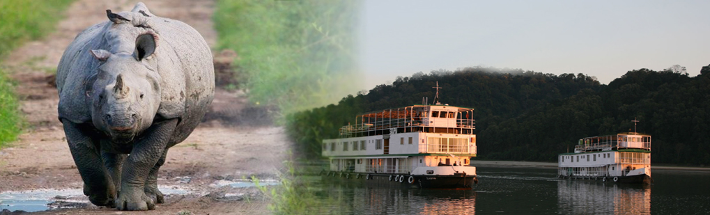 Travel Companies Guwahati Assam Northeast India Guwahati Bhairab Kund Tezpur Bomdila Tawang Dirang Nameri Kaziranga Guwahati Tour Operator Travel Agent, Travel Companies Guwahati Assam Northeast India Guwahati Bhairab Kund Tezpur Bomdila Tawang Dirang Nameri Kaziranga Guwahati National Park, Travel Companies Guwahati Assam Northeast India Guwahati Bhairab Kund Tezpur Bomdila Tawang Dirang Nameri Kaziranga Guwahati Tour Operator, Travel Companies Guwahati Assam Northeast India Guwahati Bhairab Kund Tezpur Bomdila Tawang Dirang Nameri Kaziranga Guwahati Travel Agent, Travel Agent Kaziranga, Travel Companies Guwahati Assam Northeast India Guwahati Bhairab Kund Tezpur Bomdila Tawang Dirang Nameri Kaziranga Guwahati Packaged Tour, Tour Package Travel Companies Guwahati Assam Northeast India Guwahati Bhairab Kund Tezpur Bomdila Tawang Dirang Nameri Kaziranga Guwahati, Itenary Travel Companies Guwahati Assam Northeast India Guwahati Bhairab Kund Tezpur Bomdila Tawang Dirang Nameri Kaziranga Guwahati, Travel Companies Guwahati Assam Northeast India Guwahati Bhairab Kund Tezpur Bomdila Tawang Dirang Nameri Kaziranga Guwahati Itenary, Rhino Travel Companies Guwahati Assam Northeast India Guwahati Bhairab Kund Tezpur Bomdila Tawang Dirang Nameri Kaziranga Guwahati, Visit to Travel Companies Guwahati Assam Northeast India Guwahati Bhairab Kund Tezpur Bomdila Tawang Dirang Nameri Kaziranga Guwahati, Tourist Spot Travel Companies Guwahati Assam Northeast India Guwahati Bhairab Kund Tezpur Bomdila Tawang Dirang Nameri Kaziranga Guwahati, Tourist Destination Travel Companies Guwahati Assam Northeast India Guwahati Bhairab Kund Tezpur Bomdila Tawang Dirang Nameri Kaziranga Guwahati, Trip to Travel Companies Guwahati Assam Northeast India Guwahati Bhairab Kund Tezpur Bomdila Tawang Dirang Nameri Kaziranga Guwahati, Adventure Trip to Travel Companies Guwahati Assam Northeast India Guwahati Bhairab Kund Tezpur Bomdila Tawang Dirang Nameri Kaziranga Guwahati, Leisure trip to Travel Companies Guwahati Assam Northeast India Guwahati Bhairab Kund Tezpur Bomdila Tawang Dirang Nameri Kaziranga Guwahati, Birding Travel Companies Guwahati Assam Northeast India Guwahati Bhairab Kund Tezpur Bomdila Tawang Dirang Nameri Kaziranga Guwahati, Trekking to Travel Companies Guwahati Assam Northeast India Guwahati Bhairab Kund Tezpur Bomdila Tawang Dirang Nameri Kaziranga Guwahati, Tribal Tour Travel Companies Guwahati Assam Northeast India Guwahati Bhairab Kund Tezpur Bomdila Tawang Dirang Nameri Kaziranga Guwahati, Heritage Tour Travel Companies Guwahati Assam Northeast India Guwahati Bhairab Kund Tezpur Bomdila Tawang Dirang Nameri Kaziranga Guwahati, Bird Wacthing Travel Companies Guwahati Assam Northeast India Guwahati Bhairab Kund Tezpur Bomdila Tawang Dirang Nameri Kaziranga Guwahati, Birding at Travel Companies Guwahati Assam Northeast India Guwahati Bhairab Kund Tezpur Bomdila Tawang Dirang Nameri Kaziranga Guwahati, Honeymoon at Travel Companies Guwahati Assam Northeast India Guwahati Bhairab Kund Tezpur Bomdila Tawang Dirang Nameri Kaziranga Guwahati, Zoological Tour Package Travel Companies Guwahati Assam Northeast India Guwahati Bhairab Kund Tezpur Bomdila Tawang Dirang Nameri Kaziranga Guwahati, Zoological Tour to Travel Companies Guwahati Assam Northeast India Guwahati Bhairab Kund Tezpur Bomdila Tawang Dirang Nameri Kaziranga Guwahati, Travel Agent for Zoological Tour Package Travel Companies Guwahati Assam Northeast India Guwahati Bhairab Kund Tezpur Bomdila Tawang Dirang Nameri Kaziranga Guwahati, Tour Operator for Zoological Tour Travel Companies Guwahati Assam Northeast India Guwahati Bhairab Kund Tezpur Bomdila Tawang Dirang Nameri Kaziranga Guwahati, Botanical Tour Package, Botanical Tour to Travel Companies Guwahati Assam Northeast India Guwahati Bhairab Kund Tezpur Bomdila Tawang Dirang Nameri Kaziranga Guwahati, Travel Agent for Botanical Tour Package, Tour Operator for Botanical Tour, Birding Tour Operator Travel Companies Guwahati Assam Northeast India Guwahati Bhairab Kund Tezpur Bomdila Tawang Dirang Nameri Kaziranga Guwahati, Wildlife Tour Operator Travel Companies Guwahati Assam Northeast India Guwahati Bhairab Kund Tezpur Bomdila Tawang Dirang Nameri Kaziranga Guwahati, Best Travel Agency Agent Tour Operator Travel Companies Guwahati Assam Northeast India Guwahati Bhairab Kund Tezpur Bomdila Tawang Dirang Nameri Kaziranga Guwahati, Jungle Safari Travel Companies Guwahati Assam Northeast India Guwahati Bhairab Kund Tezpur Bomdila Tawang Dirang Nameri Kaziranga Guwahati, Jungle Trip to Travel Companies Guwahati Assam Northeast India Guwahati Bhairab Kund Tezpur Bomdila Tawang Dirang Nameri Kaziranga Guwahati, Natural Holidays Leading Tour Operator Travel Agent Guwahati Assam Meghalaya Nagaland Arunachal Pradesh India, Honeymoon trip Tour Package to Travel Companies Guwahati Assam Northeast India Guwahati Bhairab Kund Tezpur Bomdila Tawang Dirang Nameri Kaziranga Guwahati Guwahati Operator Travel Agent, List of Travel Agents in Guwahati Assam Northeast India for Travel Companies Guwahati Assam Northeast India Guwahati Bhairab Kund Tezpur Bomdila Tawang Dirang Nameri Kaziranga Guwahati, List of Tour Operator in Guwahati Assam Northeast India, Travel Guide for Travel Companies Guwahati Assam Northeast India Guwahati Bhairab Kund Tezpur Bomdila Tawang Dirang Nameri Kaziranga Guwahati, Tour Guide Travel Companies Guwahati Assam Northeast India Guwahati Bhairab Kund Tezpur Bomdila Tawang Dirang Nameri Kaziranga Guwahati, Travel Tips for Travel Companies Guwahati Assam Northeast India Guwahati Bhairab Kund Tezpur Bomdila Tawang Dirang Nameri Kaziranga Guwahati, Tourist place Travel Companies Guwahati Assam Northeast India Guwahati Bhairab Kund Tezpur Bomdila Tawang Dirang Nameri Kaziranga Guwahati, Tourist attraction Travel Companies Guwahati Assam Northeast India Guwahati Bhairab Kund Tezpur Bomdila Tawang Dirang Nameri Kaziranga Guwahati, Famous places in Northeast India Travel Companies Guwahati Assam Northeast India Guwahati Bhairab Kund Tezpur Bomdila Tawang Dirang Nameri Kaziranga Guwahati, Travel Agencies Travel Companies Guwahati Assam Northeast India Guwahati Bhairab Kund Tezpur Bomdila Tawang Dirang Nameri Kaziranga Guwahati, Tour Agencies Bhalukpnog, Low cost trip to Travel Companies Guwahati Assam Northeast India Guwahati Bhairab Kund Tezpur Bomdila Tawang Dirang Nameri Kaziranga Guwahati, Best price for Travel Companies Guwahati Assam Northeast India Guwahati Bhairab Kund Tezpur Bomdila Tawang Dirang Nameri Kaziranga Guwahati, Make a Trip to Travel Companies Guwahati Assam Northeast India Guwahati Bhairab Kund Tezpur Bomdila Tawang Dirang Nameri Kaziranga Guwahati, Backpack to Travel Companies Guwahati Assam Northeast India Guwahati Bhairab Kund Tezpur Bomdila Tawang Dirang Nameri Kaziranga Guwahati, Travellers Attraction in Northeast India Travel Companies Guwahati Assam Northeast India Guwahati Bhairab Kund Tezpur Bomdila Tawang Dirang Nameri Kaziranga Guwahati, Elephant Safari in Travel Companies Guwahati Assam Northeast India Guwahati Bhairab Kund Tezpur Bomdila Tawang Dirang Nameri Kaziranga Guwahati, Jeep safari in Travel Companies Guwahati Assam Northeast India Guwahati Bhairab Kund Tezpur Bomdila Tawang Dirang Nameri Kaziranga Guwahati, Boating in Travel Companies Guwahati Assam Northeast India Guwahati Bhairab Kund Tezpur Bomdila Tawang Dirang Nameri Kaziranga Guwahati, Place of Attraction Travel Companies Guwahati Assam Northeast India Guwahati Bhairab Kund Tezpur Bomdila Tawang Dirang Nameri Kaziranga Guwahati, Tourist Attraction Travel Companies Guwahati Assam Northeast India Guwahati Bhairab Kund Tezpur Bomdila Tawang Dirang Nameri Kaziranga Guwahati, Tour Companies Guwahati Assam Northeast India Guwahati Bhairab Kund Tezpur Bomdila Tawang Dirang Nameri Kaziranga Guwahati Tour Operator Travel Agent, Tour Companies Guwahati Assam Northeast India Guwahati Bhairab Kund Tezpur Bomdila Tawang Dirang Nameri Kaziranga Guwahati National Park, Tour Companies Guwahati Assam Northeast India Guwahati Bhairab Kund Tezpur Bomdila Tawang Dirang Nameri Kaziranga Guwahati Tour Operator, Tour Companies Guwahati Assam Northeast India Guwahati Bhairab Kund Tezpur Bomdila Tawang Dirang Nameri Kaziranga Guwahati Travel Agent, Travel Agent Kaziranga, Tour Companies Guwahati Assam Northeast India Guwahati Bhairab Kund Tezpur Bomdila Tawang Dirang Nameri Kaziranga Guwahati Packaged Tour, Tour Package Tour Companies Guwahati Assam Northeast India Guwahati Bhairab Kund Tezpur Bomdila Tawang Dirang Nameri Kaziranga Guwahati, Itenary Tour Companies Guwahati Assam Northeast India Guwahati Bhairab Kund Tezpur Bomdila Tawang Dirang Nameri Kaziranga Guwahati, Tour Companies Guwahati Assam Northeast India Guwahati Bhairab Kund Tezpur Bomdila Tawang Dirang Nameri Kaziranga Guwahati Itenary, Rhino Tour Companies Guwahati Assam Northeast India Guwahati Bhairab Kund Tezpur Bomdila Tawang Dirang Nameri Kaziranga Guwahati, Visit to Tour Companies Guwahati Assam Northeast India Guwahati Bhairab Kund Tezpur Bomdila Tawang Dirang Nameri Kaziranga Guwahati, Tourist Spot Tour Companies Guwahati Assam Northeast India Guwahati Bhairab Kund Tezpur Bomdila Tawang Dirang Nameri Kaziranga Guwahati, Tourist Destination Tour Companies Guwahati Assam Northeast India Guwahati Bhairab Kund Tezpur Bomdila Tawang Dirang Nameri Kaziranga Guwahati, Trip to Tour Companies Guwahati Assam Northeast India Guwahati Bhairab Kund Tezpur Bomdila Tawang Dirang Nameri Kaziranga Guwahati, Adventure Trip to Tour Companies Guwahati Assam Northeast India Guwahati Bhairab Kund Tezpur Bomdila Tawang Dirang Nameri Kaziranga Guwahati, Leisure trip to Tour Companies Guwahati Assam Northeast India Guwahati Bhairab Kund Tezpur Bomdila Tawang Dirang Nameri Kaziranga Guwahati, Birding Tour Companies Guwahati Assam Northeast India Guwahati Bhairab Kund Tezpur Bomdila Tawang Dirang Nameri Kaziranga Guwahati, Trekking to Tour Companies Guwahati Assam Northeast India Guwahati Bhairab Kund Tezpur Bomdila Tawang Dirang Nameri Kaziranga Guwahati, Tribal Tour Tour Companies Guwahati Assam Northeast India Guwahati Bhairab Kund Tezpur Bomdila Tawang Dirang Nameri Kaziranga Guwahati, Heritage Tour Tour Companies Guwahati Assam Northeast India Guwahati Bhairab Kund Tezpur Bomdila Tawang Dirang Nameri Kaziranga Guwahati, Bird Wacthing Tour Companies Guwahati Assam Northeast India Guwahati Bhairab Kund Tezpur Bomdila Tawang Dirang Nameri Kaziranga Guwahati, Birding at Tour Companies Guwahati Assam Northeast India Guwahati Bhairab Kund Tezpur Bomdila Tawang Dirang Nameri Kaziranga Guwahati, Honeymoon at Tour Companies Guwahati Assam Northeast India Guwahati Bhairab Kund Tezpur Bomdila Tawang Dirang Nameri Kaziranga Guwahati, Zoological Tour Package Tour Companies Guwahati Assam Northeast India Guwahati Bhairab Kund Tezpur Bomdila Tawang Dirang Nameri Kaziranga Guwahati, Zoological Tour to Tour Companies Guwahati Assam Northeast India Guwahati Bhairab Kund Tezpur Bomdila Tawang Dirang Nameri Kaziranga Guwahati, Travel Agent for Zoological Tour Package Tour Companies Guwahati Assam Northeast India Guwahati Bhairab Kund Tezpur Bomdila Tawang Dirang Nameri Kaziranga Guwahati, Tour Operator for Zoological Tour Tour Companies Guwahati Assam Northeast India Guwahati Bhairab Kund Tezpur Bomdila Tawang Dirang Nameri Kaziranga Guwahati, Botanical Tour Package, Botanical Tour to Tour Companies Guwahati Assam Northeast India Guwahati Bhairab Kund Tezpur Bomdila Tawang Dirang Nameri Kaziranga Guwahati, Travel Agent for Botanical Tour Package, Tour Operator for Botanical Tour, Birding Tour Operator Tour Companies Guwahati Assam Northeast India Guwahati Bhairab Kund Tezpur Bomdila Tawang Dirang Nameri Kaziranga Guwahati, Wildlife Tour Operator Tour Companies Guwahati Assam Northeast India Guwahati Bhairab Kund Tezpur Bomdila Tawang Dirang Nameri Kaziranga Guwahati, Best Travel Agency Agent Tour Operator Tour Companies Guwahati Assam Northeast India Guwahati Bhairab Kund Tezpur Bomdila Tawang Dirang Nameri Kaziranga Guwahati, Jungle Safari Tour Companies Guwahati Assam Northeast India Guwahati Bhairab Kund Tezpur Bomdila Tawang Dirang Nameri Kaziranga Guwahati, Jungle Trip to Tour Companies Guwahati Assam Northeast India Guwahati Bhairab Kund Tezpur Bomdila Tawang Dirang Nameri Kaziranga Guwahati, Natural Holidays Leading Tour Operator Travel Agent Guwahati Assam Meghalaya Nagaland Arunachal Pradesh India, Honeymoon trip Tour Package to Tour Companies Guwahati Assam Northeast India Guwahati Bhairab Kund Tezpur Bomdila Tawang Dirang Nameri Kaziranga Guwahati Guwahati Operator Travel Agent, List of Travel Agents in Guwahati Assam Northeast India for Tour Companies Guwahati Assam Northeast India Guwahati Bhairab Kund Tezpur Bomdila Tawang Dirang Nameri Kaziranga Guwahati, List of Tour Operator in Guwahati Assam Northeast India, Travel Guide for Tour Companies Guwahati Assam Northeast India Guwahati Bhairab Kund Tezpur Bomdila Tawang Dirang Nameri Kaziranga Guwahati, Tour Guide Tour Companies Guwahati Assam Northeast India Guwahati Bhairab Kund Tezpur Bomdila Tawang Dirang Nameri Kaziranga Guwahati, Travel Tips for Tour Companies Guwahati Assam Northeast India Guwahati Bhairab Kund Tezpur Bomdila Tawang Dirang Nameri Kaziranga Guwahati, Tourist place Tour Companies Guwahati Assam Northeast India Guwahati Bhairab Kund Tezpur Bomdila Tawang Dirang Nameri Kaziranga Guwahati, Tourist attraction Tour Companies Guwahati Assam Northeast India Guwahati Bhairab Kund Tezpur Bomdila Tawang Dirang Nameri Kaziranga Guwahati, Famous places in Northeast India Tour Companies Guwahati Assam Northeast India Guwahati Bhairab Kund Tezpur Bomdila Tawang Dirang Nameri Kaziranga Guwahati, Travel Agencies Tour Companies Guwahati Assam Northeast India Guwahati Bhairab Kund Tezpur Bomdila Tawang Dirang Nameri Kaziranga Guwahati, Tour Agencies Bhalukpnog, Low cost trip to Tour Companies Guwahati Assam Northeast India Guwahati Bhairab Kund Tezpur Bomdila Tawang Dirang Nameri Kaziranga Guwahati, Best price for Tour Companies Guwahati Assam Northeast India Guwahati Bhairab Kund Tezpur Bomdila Tawang Dirang Nameri Kaziranga Guwahati, Make a Trip to Tour Companies Guwahati Assam Northeast India Guwahati Bhairab Kund Tezpur Bomdila Tawang Dirang Nameri Kaziranga Guwahati, Backpack to Tour Companies Guwahati Assam Northeast India Guwahati Bhairab Kund Tezpur Bomdila Tawang Dirang Nameri Kaziranga Guwahati, Travellers Attraction in Northeast India Tour Companies Guwahati Assam Northeast India Guwahati Bhairab Kund Tezpur Bomdila Tawang Dirang Nameri Kaziranga Guwahati, Elephant Safari in Tour Companies Guwahati Assam Northeast India Guwahati Bhairab Kund Tezpur Bomdila Tawang Dirang Nameri Kaziranga Guwahati, Jeep safari in Tour Companies Guwahati Assam Northeast India Guwahati Bhairab Kund Tezpur Bomdila Tawang Dirang Nameri Kaziranga Guwahati, Boating in Tour Companies Guwahati Assam Northeast India Guwahati Bhairab Kund Tezpur Bomdila Tawang Dirang Nameri Kaziranga Guwahati, Place of Attraction Tour Companies Guwahati Assam Northeast India Guwahati Bhairab Kund Tezpur Bomdila Tawang Dirang Nameri Kaziranga Guwahati, Tourist Attraction Tour Companies Guwahati Assam Northeast India Guwahati Bhairab Kund Tezpur Bomdila Tawang Dirang Nameri Kaziranga Guwahati