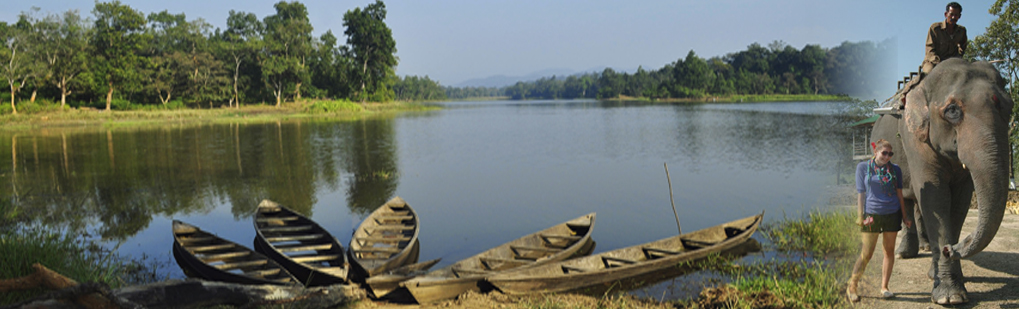 Incredible India Tourism Travel Companies Guwahati Assam Northeast India, Incredible Travel Package to Holiday Package to Guwahati Chandubi Lake Kukurmara Pobitora Kaziranga Shillong Cherrapunjee Water Falls Elephant Nohkalikai Seven Sisters Umiam Lake Kamakhya Temple Umananda Temple Dolphin Point Kukurmara, Incredible Tour Package Itenaries to Holiday Package to Guwahati Chandubi Lake Kukurmara Pobitora Kaziranga Shillong Cherrapunjee Water Falls Elephant Nohkalikai Seven Sisters Umiam Lake Kamakhya Temple Umananda Temple Dolphin Point Kukurmara, Travel tour Companies from Guwahati Assam Northeast India to Holiday Package to Guwahati Chandubi Lake Kukurmara Pobitora Kaziranga Shillong Cherrapunjee Water Falls Elephant Nohkalikai Seven Sisters Umiam Lake Kamakhya Temple Umananda Temple Dolphin Point Kukurmara, Holiday Package to Guwahati Chandubi Lake Kukurmara Pobitora Kaziranga Shillong Cherrapunjee Water Falls Elephant Nohkalikai Seven Sisters Umiam Lake Kamakhya Temple Umananda Temple Dolphin Point Kukurmara Tour Operator Travel Agent, Holiday Package to Guwahati Chandubi Lake Kukurmara Pobitora Kaziranga Shillong Cherrapunjee Water Falls Elephant Nohkalikai Seven Sisters Umiam Lake Kamakhya Temple Umananda Temple Dolphin Point Kukurmara National Park, Holiday Package to Guwahati Chandubi Lake Kukurmara Pobitora Kaziranga Shillong Cherrapunjee Water Falls Elephant Nohkalikai Seven Sisters Umiam Lake Kamakhya Temple Umananda Temple Dolphin Point Kukurmara Tour Operator, Holiday Package to Guwahati Chandubi Lake Kukurmara Pobitora Kaziranga Shillong Cherrapunjee Water Falls Elephant Nohkalikai Seven Sisters Umiam Lake Kamakhya Temple Umananda Temple Dolphin Point Kukurmara Travel Agent, Travel Agent Kaziranga, Holiday Package to Guwahati Chandubi Lake Kukurmara Pobitora Kaziranga Shillong Cherrapunjee Water Falls Elephant Nohkalikai Seven Sisters Umiam Lake Kamakhya Temple Umananda Temple Dolphin Point Kukurmara Packaged Tour, Tour Package Holiday Package to Guwahati Chandubi Lake Kukurmara Pobitora Kaziranga Shillong Cherrapunjee Water Falls Elephant Nohkalikai Seven Sisters Umiam Lake Kamakhya Temple Umananda Temple Dolphin Point Kukurmara, Itenary Holiday Package to Guwahati Chandubi Lake Kukurmara Pobitora Kaziranga Shillong Cherrapunjee Water Falls Elephant Nohkalikai Seven Sisters Umiam Lake Kamakhya Temple Umananda Temple Dolphin Point Kukurmara, Holiday Package to Guwahati Chandubi Lake Kukurmara Pobitora Kaziranga Shillong Cherrapunjee Water Falls Elephant Nohkalikai Seven Sisters Umiam Lake Kamakhya Temple Umananda Temple Dolphin Point Kukurmara Itenary, Rhino Holiday Package to Guwahati Chandubi Lake Kukurmara Pobitora Kaziranga Shillong Cherrapunjee Water Falls Elephant Nohkalikai Seven Sisters Umiam Lake Kamakhya Temple Umananda Temple Dolphin Point Kukurmara, Visit to Holiday Package to Guwahati Chandubi Lake Kukurmara Pobitora Kaziranga Shillong Cherrapunjee Water Falls Elephant Nohkalikai Seven Sisters Umiam Lake Kamakhya Temple Umananda Temple Dolphin Point Kukurmara, Tourist Spot Holiday Package to Guwahati Chandubi Lake Kukurmara Pobitora Kaziranga Shillong Cherrapunjee Water Falls Elephant Nohkalikai Seven Sisters Umiam Lake Kamakhya Temple Umananda Temple Dolphin Point Kukurmara, Tourist Destination Holiday Package to Guwahati Chandubi Lake Kukurmara Pobitora Kaziranga Shillong Cherrapunjee Water Falls Elephant Nohkalikai Seven Sisters Umiam Lake Kamakhya Temple Umananda Temple Dolphin Point Kukurmara, Trip to Holiday Package to Guwahati Chandubi Lake Kukurmara Pobitora Kaziranga Shillong Cherrapunjee Water Falls Elephant Nohkalikai Seven Sisters Umiam Lake Kamakhya Temple Umananda Temple Dolphin Point Kukurmara, Adventure Trip to Holiday Package to Guwahati Chandubi Lake Kukurmara Pobitora Kaziranga Shillong Cherrapunjee Water Falls Elephant Nohkalikai Seven Sisters Umiam Lake Kamakhya Temple Umananda Temple Dolphin Point Kukurmara, Leisure trip to Holiday Package to Guwahati Chandubi Lake Kukurmara Pobitora Kaziranga Shillong Cherrapunjee Water Falls Elephant Nohkalikai Seven Sisters Umiam Lake Kamakhya Temple Umananda Temple Dolphin Point Kukurmara, Birding Holiday Package to Guwahati Chandubi Lake Kukurmara Pobitora Kaziranga Shillong Cherrapunjee Water Falls Elephant Nohkalikai Seven Sisters Umiam Lake Kamakhya Temple Umananda Temple Dolphin Point Kukurmara, Trekking to Holiday Package to Guwahati Chandubi Lake Kukurmara Pobitora Kaziranga Shillong Cherrapunjee Water Falls Elephant Nohkalikai Seven Sisters Umiam Lake Kamakhya Temple Umananda Temple Dolphin Point Kukurmara, Tribal Tour Holiday Package to Guwahati Chandubi Lake Kukurmara Pobitora Kaziranga Shillong Cherrapunjee Water Falls Elephant Nohkalikai Seven Sisters Umiam Lake Kamakhya Temple Umananda Temple Dolphin Point Kukurmara, Heritage Tour Holiday Package to Guwahati Chandubi Lake Kukurmara Pobitora Kaziranga Shillong Cherrapunjee Water Falls Elephant Nohkalikai Seven Sisters Umiam Lake Kamakhya Temple Umananda Temple Dolphin Point Kukurmara, Bird Wacthing Holiday Package to Guwahati Chandubi Lake Kukurmara Pobitora Kaziranga Shillong Cherrapunjee Water Falls Elephant Nohkalikai Seven Sisters Umiam Lake Kamakhya Temple Umananda Temple Dolphin Point Kukurmara, Birding at Holiday Package to Guwahati Chandubi Lake Kukurmara Pobitora Kaziranga Shillong Cherrapunjee Water Falls Elephant Nohkalikai Seven Sisters Umiam Lake Kamakhya Temple Umananda Temple Dolphin Point Kukurmara, Honeymoon at Holiday Package to Guwahati Chandubi Lake Kukurmara Pobitora Kaziranga Shillong Cherrapunjee Water Falls Elephant Nohkalikai Seven Sisters Umiam Lake Kamakhya Temple Umananda Temple Dolphin Point Kukurmara, Zoological Tour Package Holiday Package to Guwahati Chandubi Lake Kukurmara Pobitora Kaziranga Shillong Cherrapunjee Water Falls Elephant Nohkalikai Seven Sisters Umiam Lake Kamakhya Temple Umananda Temple Dolphin Point Kukurmara, Zoological Tour to Holiday Package to Guwahati Chandubi Lake Kukurmara Pobitora Kaziranga Shillong Cherrapunjee Water Falls Elephant Nohkalikai Seven Sisters Umiam Lake Kamakhya Temple Umananda Temple Dolphin Point Kukurmara, Travel Agent for Zoological Tour Package Holiday Package to Guwahati Chandubi Lake Kukurmara Pobitora Kaziranga Shillong Cherrapunjee Water Falls Elephant Nohkalikai Seven Sisters Umiam Lake Kamakhya Temple Umananda Temple Dolphin Point Kukurmara, Tour Operator for Zoological Tour Holiday Package to Guwahati Chandubi Lake Kukurmara Pobitora Kaziranga Shillong Cherrapunjee Water Falls Elephant Nohkalikai Seven Sisters Umiam Lake Kamakhya Temple Umananda Temple Dolphin Point Kukurmara, Botanical Tour Package, Botanical Tour to Holiday Package to Guwahati Chandubi Lake Kukurmara Pobitora Kaziranga Shillong Cherrapunjee Water Falls Elephant Nohkalikai Seven Sisters Umiam Lake Kamakhya Temple Umananda Temple Dolphin Point Kukurmara, Travel Agent for Botanical Tour Package, Tour Operator for Botanical Tour, Birding Tour Operator Holiday Package to Guwahati Chandubi Lake Kukurmara Pobitora Kaziranga Shillong Cherrapunjee Water Falls Elephant Nohkalikai Seven Sisters Umiam Lake Kamakhya Temple Umananda Temple Dolphin Point Kukurmara, Wildlife Tour Operator Holiday Package to Guwahati Chandubi Lake Kukurmara Pobitora Kaziranga Shillong Cherrapunjee Water Falls Elephant Nohkalikai Seven Sisters Umiam Lake Kamakhya Temple Umananda Temple Dolphin Point Kukurmara, Best Travel Agency Agent Tour Operator Holiday Package to Guwahati Chandubi Lake Kukurmara Pobitora Kaziranga Shillong Cherrapunjee Water Falls Elephant Nohkalikai Seven Sisters Umiam Lake Kamakhya Temple Umananda Temple Dolphin Point Kukurmara, Jungle Safari Holiday Package to Guwahati Chandubi Lake Kukurmara Pobitora Kaziranga Shillong Cherrapunjee Water Falls Elephant Nohkalikai Seven Sisters Umiam Lake Kamakhya Temple Umananda Temple Dolphin Point Kukurmara, Jungle Trip to Holiday Package to Guwahati Chandubi Lake Kukurmara Pobitora Kaziranga Shillong Cherrapunjee Water Falls Elephant Nohkalikai Seven Sisters Umiam Lake Kamakhya Temple Umananda Temple Dolphin Point Kukurmara, Natural Holidays Leading Tour Operator Travel Agent Guwahati Assam Meghalaya Nagaland Arunachal Pradesh India, Honeymoon trip Tour Package to Holiday Package to Guwahati Chandubi Lake Kukurmara Pobitora Kaziranga Shillong Cherrapunjee Water Falls Elephant Nohkalikai Seven Sisters Umiam Lake Kamakhya Temple Umananda Temple Dolphin Point Kukurmara Guwahati Operator Travel Agent, List of Travel Agents in Guwahati Assam Northeast India for Holiday Package to Guwahati Chandubi Lake Kukurmara Pobitora Kaziranga Shillong Cherrapunjee Water Falls Elephant Nohkalikai Seven Sisters Umiam Lake Kamakhya Temple Umananda Temple Dolphin Point Kukurmara, List of Tour Operator in Guwahati Assam Northeast India, Travel Guide for Holiday Package to Guwahati Chandubi Lake Kukurmara Pobitora Kaziranga Shillong Cherrapunjee Water Falls Elephant Nohkalikai Seven Sisters Umiam Lake Kamakhya Temple Umananda Temple Dolphin Point Kukurmara, Tour Guide Holiday Package to Guwahati Chandubi Lake Kukurmara Pobitora Kaziranga Shillong Cherrapunjee Water Falls Elephant Nohkalikai Seven Sisters Umiam Lake Kamakhya Temple Umananda Temple Dolphin Point Kukurmara, Travel Tips for Holiday Package to Guwahati Chandubi Lake Kukurmara Pobitora Kaziranga Shillong Cherrapunjee Water Falls Elephant Nohkalikai Seven Sisters Umiam Lake Kamakhya Temple Umananda Temple Dolphin Point Kukurmara, Tourist place Holiday Package to Guwahati Chandubi Lake Kukurmara Pobitora Kaziranga Shillong Cherrapunjee Water Falls Elephant Nohkalikai Seven Sisters Umiam Lake Kamakhya Temple Umananda Temple Dolphin Point Kukurmara, Tourist attraction Holiday Package to Guwahati Chandubi Lake Kukurmara Pobitora Kaziranga Shillong Cherrapunjee Water Falls Elephant Nohkalikai Seven Sisters Umiam Lake Kamakhya Temple Umananda Temple Dolphin Point Kukurmara, Famous places in Northeast India Holiday Package to Guwahati Chandubi Lake Kukurmara Pobitora Kaziranga Shillong Cherrapunjee Water Falls Elephant Nohkalikai Seven Sisters Umiam Lake Kamakhya Temple Umananda Temple Dolphin Point Kukurmara, Travel Agencies Holiday Package to Guwahati Chandubi Lake Kukurmara Pobitora Kaziranga Shillong Cherrapunjee Water Falls Elephant Nohkalikai Seven Sisters Umiam Lake Kamakhya Temple Umananda Temple Dolphin Point Kukurmara, Tour Agencies Bhalukpnog, Low cost trip to Holiday Package to Guwahati Chandubi Lake Kukurmara Pobitora Kaziranga Shillong Cherrapunjee Water Falls Elephant Nohkalikai Seven Sisters Umiam Lake Kamakhya Temple Umananda Temple Dolphin Point Kukurmara, Best price for Holiday Package to Guwahati Chandubi Lake Kukurmara Pobitora Kaziranga Shillong Cherrapunjee Water Falls Elephant Nohkalikai Seven Sisters Umiam Lake Kamakhya Temple Umananda Temple Dolphin Point Kukurmara, Make a Trip to Holiday Package to Guwahati Chandubi Lake Kukurmara Pobitora Kaziranga Shillong Cherrapunjee Water Falls Elephant Nohkalikai Seven Sisters Umiam Lake Kamakhya Temple Umananda Temple Dolphin Point Kukurmara, Backpack to Holiday Package to Guwahati Chandubi Lake Kukurmara Pobitora Kaziranga Shillong Cherrapunjee Water Falls Elephant Nohkalikai Seven Sisters Umiam Lake Kamakhya Temple Umananda Temple Dolphin Point Kukurmara, Travellers Attraction in Northeast India Holiday Package to Guwahati Chandubi Lake Kukurmara Pobitora Kaziranga Shillong Cherrapunjee Water Falls Elephant Nohkalikai Seven Sisters Umiam Lake Kamakhya Temple Umananda Temple Dolphin Point Kukurmara, Elephant Safari in Holiday Package to Guwahati Chandubi Lake Kukurmara Pobitora Kaziranga Shillong Cherrapunjee Water Falls Elephant Nohkalikai Seven Sisters Umiam Lake Kamakhya Temple Umananda Temple Dolphin Point Kukurmara, Jeep safari in Holiday Package to Guwahati Chandubi Lake Kukurmara Pobitora Kaziranga Shillong Cherrapunjee Water Falls Elephant Nohkalikai Seven Sisters Umiam Lake Kamakhya Temple Umananda Temple Dolphin Point Kukurmara, Boating in Holiday Package to Guwahati Chandubi Lake Kukurmara Pobitora Kaziranga Shillong Cherrapunjee Water Falls Elephant Nohkalikai Seven Sisters Umiam Lake Kamakhya Temple Umananda Temple Dolphin Point Kukurmara, Place of Attraction Holiday Package to Guwahati Chandubi Lake Kukurmara Pobitora Kaziranga Shillong Cherrapunjee Water Falls Elephant Nohkalikai Seven Sisters Umiam Lake Kamakhya Temple Umananda Temple Dolphin Point Kukurmara, Tourist Attraction Holiday Package to Guwahati Chandubi Lake Kukurmara Pobitora Kaziranga Shillong Cherrapunjee Water Falls Elephant Nohkalikai Seven Sisters Umiam Lake Kamakhya Temple Umananda Temple Dolphin Point Kukurmara, Travel Companies in India for Holiday Package to Guwahati Chandubi Lake Kukurmara Pobitora Kaziranga Shillong Cherrapunjee Water Falls Elephant Nohkalikai Seven Sisters Umiam Lake Kamakhya Temple Umananda Temple Dolphin Point Kukurmara, Tour Companies in India for Holiday Package to Guwahati Chandubi Lake Kukurmara Pobitora Kaziranga Shillong Cherrapunjee Water Falls Elephant Nohkalikai Seven Sisters Umiam Lake Kamakhya Temple Umananda Temple Dolphin Point Kukurmara, Incredible India Holiday Package to Guwahati Chandubi Lake Kukurmara Pobitora Kaziranga Shillong Cherrapunjee Water Falls Elephant Nohkalikai Seven Sisters Umiam Lake Kamakhya Temple Umananda Temple Dolphin Point Kukurmara Northeast Tourismuwahati"/