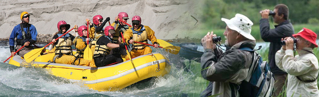 Adventure Trip (19 Nights / 20 Days ) to Assam, Nagaland, Arunachal Pradesh from Leading Tour Operator and Travel Agent from Guwahati Northeast India, Kaziranga tour packages, Tribes of Mon Nagaland, Khonoma Village, Apatanis from Ziro, Mopungchuket, Impur and Ungma to understand culture of Ao nagas and enjoy scenic beauty, Konyak Tribes of Nagaland, Adventure Trip to Arunachal Pradesh, River Rafting in River Subansiri, Aoling festival, Dibrugarh Tea Town of Assam Northeast India, Ferry Journey on River Brahmaputra, Adi and Idu Mishmi tribe, Satra of Majuli, Srimanta Sankardeva Majuli,  largest river island, Rare Rhino in Kaziranga, Kaziranga Travel, Kaziranga Tour Packages, Kaziranga Resort, Places of visit in Assam, Nagaland, Arunachal Pradesh, Nagaland Arunchal Pradesh Assam Tour Operator Travel Agent, Nagaland Arunchal Pradesh Assam National Park, Nagaland Arunchal Pradesh Assam Tour Operator, Nagaland Arunchal Pradesh Assam Travel Agent, Travel Agent Kaziranga, Nagaland Arunchal Pradesh Assam Packaged Tour, Tour Package Nagaland Arunchal Pradesh Assam, Itenary Nagaland Arunchal Pradesh Assam, Nagaland Arunchal Pradesh Assam Itenary, Rhino Nagaland Arunchal Pradesh Assam, Visit to Nagaland Arunchal Pradesh Assam, Tourist Spot Nagaland Arunchal Pradesh Assam, Tourist Destination Nagaland Arunchal Pradesh Assam, Trip to Nagaland Arunchal Pradesh Assam, Adventure Trip to Nagaland Arunchal Pradesh Assam, Leisure trip to Nagaland Arunchal Pradesh Assam, Birding Nagaland Arunchal Pradesh Assam, Trekking to Nagaland Arunchal Pradesh Assam, Tribal Tour Nagaland Arunchal Pradesh Assam, Heritage Tour Nagaland Arunchal Pradesh Assam, Bird Wacthing Nagaland Arunchal Pradesh Assam, Birding at Nagaland Arunchal Pradesh Assam, Honeymoon at Nagaland Arunchal Pradesh Assam, Zoological Tour Package Nagaland Arunchal Pradesh Assam, Zoological Tour to Nagaland Arunchal Pradesh Assam, Travel Agent for Zoological Tour Package Nagaland Arunchal Pradesh Assam, Tour Operator for Zoological Tour Nagaland Arunchal Pradesh Assam, Botanical Tour Package, Botanical Tour to Nagaland Arunchal Pradesh Assam, Travel Agent for Botanical Tour Package, Tour Operator for Botanical Tour, Birding Tour Operator Nagaland Arunchal Pradesh Assam, Wildlife Tour Operator Nagaland Arunchal Pradesh Assam, Best Travel Agency Agent Tour Operator Nagaland Arunchal Pradesh Assam, Jungle Safari Nagaland Arunchal Pradesh Assam, Jungle Trip to Nagaland Arunchal Pradesh Assam, Natural Holidays Leading Tour Operator Travel Agent Guwahati Assam Meghalaya Nagaland Arunachal Pradesh India, Honeymoon trip Tour Package to Nagaland Arunchal Pradesh Assam Guwahati Operator Travel Agent, List of Travel Agents in Guwahati Assam Northeast India for Nagaland Arunchal Pradesh Assam, List of Tour Operator in Guwahati Assam Northeast India, Travel Guide for Nagaland Arunchal Pradesh Assam, Tour Guide Nagaland Arunchal Pradesh Assam, Travel Tips for Nagaland Arunchal Pradesh Assam, Tourist place Nagaland Arunchal Pradesh Assam, Tourist attraction Nagaland Arunchal Pradesh Assam, Famous places in Northeast India Nagaland Arunchal Pradesh Assam, Travel Agencies Nagaland Arunchal Pradesh Assam, Tour Agencies Bhalukpnog, Low cost trip to Nagaland Arunchal Pradesh Assam, Best price for Nagaland Arunchal Pradesh Assam, Make a Trip to Nagaland Arunchal Pradesh Assam, Backpack to Nagaland Arunchal Pradesh Assam, Travellers Attraction in Northeast India Nagaland Arunchal Pradesh Assam, Elephant Safari in Bhalkpong, Jeep safari in Nagaland Arunchal Pradesh Assam, Boating in Nagaland Arunchal Pradesh Assam, Place of Attraction Nagaland Arunchal Pradesh Assam, Tourist Attraction Nagaland Arunchal Pradesh Assam