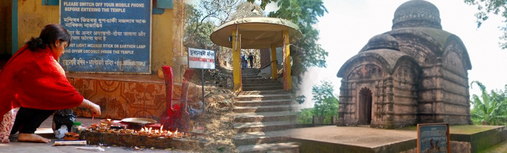 Bhuvaneswari Temple Tour Operator Travel Agent, Bhuvaneswari Temple National Park, Bhuvaneswari Temple Tour Operator, Bhuvaneswari Temple Travel Agent, Travel Agent Kaziranga, Bhuvaneswari Temple Packaged Tour, Tour Package Bhuvaneswari Temple, Itenary Bhuvaneswari Temple, Bhuvaneswari Temple Itenary, Rhino Bhuvaneswari Temple, Visit to Bhuvaneswari Temple, Tourist Spot Bhuvaneswari Temple, Tourist Destination Bhuvaneswari Temple, Trip to Bhuvaneswari Temple, Adventure Trip to Bhuvaneswari Temple, Leisure trip to Bhuvaneswari Temple, Birding Bhuvaneswari Temple, Trekking to Bhuvaneswari Temple, Tribal Tour Bhuvaneswari Temple, Heritage Tour Bhuvaneswari Temple, Bird Wacthing Bhuvaneswari Temple, Birding at Bhuvaneswari Temple, Honeymoon at Bhuvaneswari Temple, Zoological Tour Package Bhuvaneswari Temple, Zoological Tour to Bhuvaneswari Temple, Travel Agent for Zoological Tour Package Bhuvaneswari Temple, Tour Operator for Zoological Tour Bhuvaneswari Temple, Botanical Tour Package, Botanical Tour to Bhuvaneswari Temple, Travel Agent for Botanical Tour Package, Tour Operator for Botanical Tour, Birding Tour Operator Bhuvaneswari Temple, Wildlife Tour Operator Bhuvaneswari Temple, Best Travel Agency Agent Tour Operator Bhuvaneswari Temple, Jungle Safari Bhuvaneswari Temple, Jungle Trip to Bhuvaneswari Temple, Natural Holidays Leading Tour Operator Travel Agent Guwahati Assam Meghalaya Nagaland Arunachal Pradesh India, Honeymoon trip Tour Package to Bhuvaneswari Temple Guwahati Operator Travel Agent, List of Travel Agents in Guwahati Assam Northeast India for Bhuvaneswari Temple, List of Tour Operator in Guwahati Assam Northeast India, Travel Guide for Bhuvaneswari Temple, Tour Guide Bhuvaneswari Temple, Travel Tips for Bhuvaneswari Temple, Tourist place Bhuvaneswari Temple, Tourist attraction Bhuvaneswari Temple, Famous places in Northeast India Bhuvaneswari Temple, Travel Agencies Bhuvaneswari Temple, Tour Agencies Bhalukpnog, Low cost trip to Bhuvaneswari Temple, Best price for Bhuvaneswari Temple, Make a Trip to Bhuvaneswari Temple, Backpack to Bhuvaneswari Temple, Travellers Attraction in Northeast India Bhuvaneswari Temple, Elephant Safari in Bhalkpong, Jeep safari in Bhuvaneswari Temple, Boating in Bhuvaneswari Temple, Place of Attraction Bhuvaneswari Temple, Tourist Attraction Bhuvaneswari Temple, Religious Tour Operator Travel Agent, Religious National Park, Religious Tour Operator, Religious Travel Agent, Travel Agent Kaziranga, Religious Packaged Tour, Tour Package Religious, Itenary Religious, Religious Itenary, Rhino Religious, Visit to Religious, Tourist Spot Religious, Tourist Destination Religious, Trip to Religious, Adventure Trip to Religious, Leisure trip to Religious, Birding Religious, Trekking to Religious, Tribal Tour Religious, Heritage Tour Religious, Bird Wacthing Religious, Birding at Religious, Honeymoon at Religious, Zoological Tour Package Religious, Zoological Tour to Religious, Travel Agent for Zoological Tour Package Religious, Tour Operator for Zoological Tour Religious, Botanical Tour Package, Botanical Tour to Religious, Travel Agent for Botanical Tour Package, Tour Operator for Botanical Tour, Birding Tour Operator Religious, Wildlife Tour Operator Religious, Best Travel Agency Agent Tour Operator Religious, Jungle Safari Religious, Jungle Trip to Religious, Natural Holidays Leading Tour Operator Travel Agent Guwahati Assam Meghalaya Nagaland Arunachal Pradesh India, Honeymoon trip Tour Package to Religious Guwahati Operator Travel Agent, List of Travel Agents in Guwahati Assam Northeast India for Religious, List of Tour Operator in Guwahati Assam Northeast India, Travel Guide for Religious, Tour Guide Religious, Travel Tips for Religious, Tourist place Religious, Tourist attraction Religious, Famous places in Northeast India Religious, Travel Agencies Religious, Tour Agencies Bhalukpnog, Low cost trip to Religious, Best price for Religious, Make a Trip to Religious, Backpack to Religious, Travellers Attraction in Northeast India Religious, Elephant Safari in Bhalkpong, Jeep safari in Religious, Boating in Religious, Place of Attraction Religious, Tourist Attraction Religious
