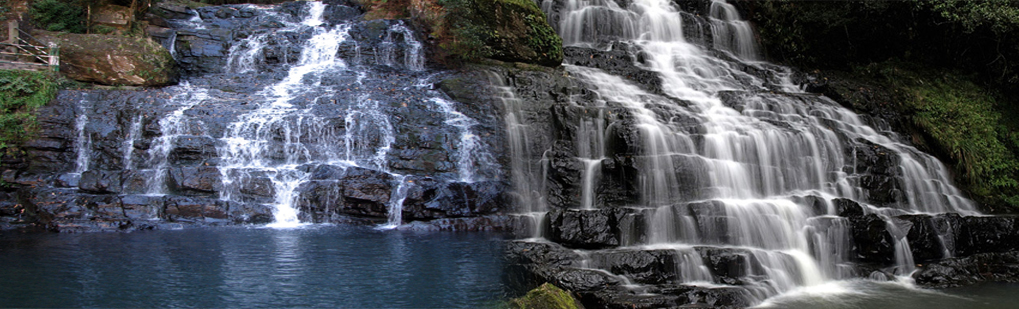 Elephant Falls Shillong Tour Operator Travel Agent, Elephant Falls Shillong National Park, Elephant Falls Shillong Tour Operator, Elephant Falls Shillong Travel Agent, Travel Agent Kaziranga, Elephant Falls Shillong Packaged Tour, Tour Package Elephant Falls Shillong, Itenary Elephant Falls Shillong, Elephant Falls Shillong Itenary, Rhino Elephant Falls Shillong, Visit to Elephant Falls Shillong, Tourist Spot Elephant Falls Shillong, Tourist Destination Elephant Falls Shillong, Trip to Elephant Falls Shillong, Adventure Trip to Elephant Falls Shillong, Leisure trip to Elephant Falls Shillong, Birding Elephant Falls Shillong, Trekking to Elephant Falls Shillong, Tribal Tour Elephant Falls Shillong, Heritage Tour Elephant Falls Shillong, Bird Wacthing Elephant Falls Shillong, Birding at Elephant Falls Shillong, Honeymoon at Elephant Falls Shillong, Zoological Tour Package Elephant Falls Shillong, Zoological Tour to Elephant Falls Shillong, Travel Agent for Zoological Tour Package Elephant Falls Shillong, Tour Operator for Zoological Tour Elephant Falls Shillong, Botanical Tour Package, Botanical Tour to Elephant Falls Shillong, Travel Agent for Botanical Tour Package, Tour Operator for Botanical Tour, Birding Tour Operator Elephant Falls Shillong, Wildlife Tour Operator Elephant Falls Shillong, Best Travel Agency Agent Tour Operator Elephant Falls Shillong, Jungle Safari Elephant Falls Shillong, Jungle Trip to Elephant Falls Shillong, Natural Holidays Leading Tour Operator Travel Agent Guwahati Assam Meghalaya Nagaland Arunachal Pradesh India, Honeymoon trip Tour Package to Elephant Falls Shillong Guwahati Operator Travel Agent, List of Travel Agents in Guwahati Assam Northeast India for Elephant Falls Shillong, List of Tour Operator in Guwahati Assam Northeast India, Travel Guide for Elephant Falls Shillong, Tour Guide Elephant Falls Shillong, Travel Tips for Elephant Falls Shillong, Tourist place Elephant Falls Shillong, Tourist attraction Elephant Falls Shillong, Famous places in Northeast India Elephant Falls Shillong, Travel Agencies Elephant Falls Shillong, Tour Agencies Bhalukpnog, Low cost trip to Elephant Falls Shillong, Best price for Elephant Falls Shillong, Make a Trip to Elephant Falls Shillong, Backpack to Elephant Falls Shillong, Travellers Attraction in Northeast India Elephant Falls Shillong, Elephant Safari in Bhalkpong, Jeep safari in Elephant Falls Shillong, Boating in Elephant Falls Shillong, Place of Attraction Elephant Falls Shillong, Tourist Attraction Elephant Falls Shillong