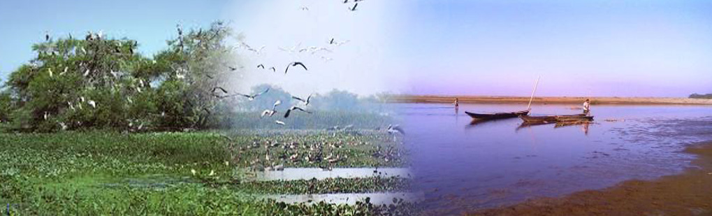 Jhanjimukh Tour Operator Travel Agent, Jhanjimukh National Park, Jhanjimukh Tour Operator, Jhanjimukh Travel Agent, Travel Agent Kaziranga, Jhanjimukh Packaged Tour, Tour Package Jhanjimukh, Itenary Jhanjimukh, Jhanjimukh Itenary, Rhino Jhanjimukh, Visit to Jhanjimukh, Tourist Spot Jhanjimukh, Tourist Destination Jhanjimukh, Trip to Jhanjimukh, Adventure Trip to Jhanjimukh, Leisure trip to Jhanjimukh, Birding Jhanjimukh, Trekking to Jhanjimukh, Tribal Tour Jhanjimukh, Heritage Tour Jhanjimukh, Bird Wacthing Jhanjimukh, Birding at Jhanjimukh, Honeymoon at Jhanjimukh, Kakilamukh Tour Operator Travel Agent, Kakilamukh National Park, Kakilamukh Tour Operator, Kakilamukh Travel Agent, Travel Agent Kaziranga, Kakilamukh Packaged Tour, Tour Package Kakilamukh, Itenary Kakilamukh, Kakilamukh Itenary, Rhino Kakilamukh, Visit to Kakilamukh, Tourist Spot Kakilamukh, Tourist Destination Kakilamukh, Trip to Kakilamukh, Adventure Trip to Kakilamukh, Leisure trip to Kakilamukh, Birding Kakilamukh, Trekking to Kakilamukh, Tribal Tour Kakilamukh, Heritage Tour Kakilamukh, Bird Wacthing Kakilamukh, Birding at Kakilamukh, Honeymoon at Kakilamukh, Bird Watcher, Bird tour Operator, Birding Travel Agent, Itenary for Birding, Package tour for Birding, Rarest species of Bird, Birding in Assam India, Bird Watching in Assam India, Birding Destionation in Assam India, National Park Birding, Bird Watcher in Assam India, Places for Bird Watching in Assam India, Birding Tour Package, Bird Watching Tour Package, Tour Operator for Birding in Assam, Travel Agent for Birding in Assam, Bird Watching Itenary, Itenary for Wildlife Birding Assam India, Package Tour for Birding in Assam India, Birding India Tours, Bird Watching Tour, Tourist Attraction Birding in Assam India, Tourist Destionation Bird Watching places in Assam India, Birding in Jhanjimukh Kakilamukh India, Bird Watching in Jhanjimukh Kakilamukh India, Birding Destionation in Jhanjimukh Kakilamukh India, National Park Birding, Bird Watcher in Jhanjimukh Kakilamukh India, Places for Bird Watching in Jhanjimukh Kakilamukh India, Birding Tour Package, Bird Watching Tour Package, Tour Operator for Birding in Jhanjimukh Kakilamukh , Travel Agent for Birding in Jhanjimukh Kakilamukh , Bird Watching Itenary, Itenary for Wildlife Birding Jhanjimukh Kakilamukh India, Package Tour for Birding in Jhanjimukh Kakilamukh India, Birding India Tours, Bird Watching Tour, Tourist Attraction Birding in Jhanjimukh Kakilamukh India, Tourist Destionation Bird Watching places in Jhanjimukh Kakilamukh India