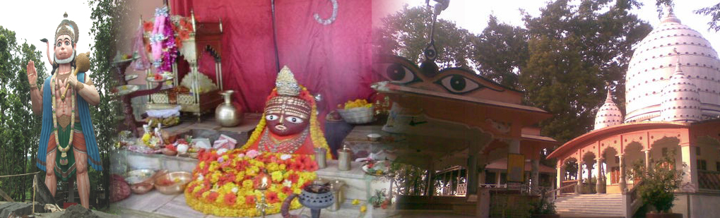 Tour Agent in India for Travel Package to Shakti Peethas for Hindu pilgrims Mahamaya Dham Mahamaya Temple Dhubri, Travel Agent in India for Travel Package to Shakti Peethas for Hindu pilgrims Mahamaya Dham Mahamaya Temple Dhubri, Travel Itenary to Shakti Peethas for Hindu pilgrims Mahamaya Dham Mahamaya Temple Dhubri, Tour Agent in india for Shakti Peethas for Hindu pilgrims Mahamaya Dham Mahamaya Temple Dhubri, Travel Agency in India for Shakti Peethas for Hindu pilgrims Mahamaya Dham Mahamaya Temple Dhubri, India reputed Travel Agent in Guwahati Assam Northeast India for Birding Bird Watching in Shakti Peethas for Hindu pilgrims Mahamaya Dham Mahamaya Temple Dhubri Wildlife Low Cost Tour package Itenary, Tour Operator in India Northeast Guwahati Assam for Shakti Peethas for Hindu pilgrims Mahamaya Dham Mahamaya Temple Dhubri Low cost Holiday Package, Leading Reputed Travel Agency in India Guwahati Assam Northeast for Wildlife Jungle Tour to Shakti Peethas for Hindu pilgrims Mahamaya Dham Mahamaya Temple Dhubri National Park, Jeep Elephant Safari tour travel to Shakti Peethas for Hindu pilgrims Mahamaya Dham Mahamaya Temple Dhubri Tiger National Park, Make you Trip to Rhino Tiger Reserve Shakti Peethas for Hindu pilgrims Mahamaya Dham Mahamaya Temple Dhubri National Park, Just Dial to Us for Package tour travel tip information on Shakti Peethas for Hindu pilgrims Mahamaya Dham Mahamaya Temple Dhubri National Park, Visit to Shakti Peethas for Hindu pilgrims Mahamaya Dham Mahamaya Temple Dhubri tiger Rhino Reserve forest Conservation Foreign Tourist, Reputed Tour Operator Travel Agent Guwahati Assam India for Shakti Peethas for Hindu pilgrims Mahamaya Dham Mahamaya Temple Dhubri Package Itenary at Low Cost Cheap Budget, Leading Travel Agent Tour Operator in India for Shakti Peethas for Hindu pilgrims Mahamaya Dham Mahamaya Temple Dhubri, Famous Popular Best Low Cost Budget Package from India Travel Agency Agent Operator for Shakti Peethas for Hindu pilgrims Mahamaya Dham Mahamaya Temple Dhubri Tour, Best & Leading Tour Travel Operator Agent Agency Company in Guwahati Assam Northeast India for Shakti Peethas for Hindu pilgrims Mahamaya Dham Mahamaya Temple Dhubri, Incredible India Tourism Best Travel Companies Guwahati Assam Northeast India, Incredible Travel Package to Shakti Peethas for Hindu pilgrims Mahamaya Dham Mahamaya Temple Dhubri, Incredible Tour Package Itenaries to Shakti Peethas for Hindu pilgrims Mahamaya Dham Mahamaya Temple Dhubri, Travel tour Companies from Guwahati Assam Northeast India to Shakti Peethas for Hindu pilgrims Mahamaya Dham Mahamaya Temple Dhubri, Shakti Peethas for Hindu pilgrims Mahamaya Dham Mahamaya Temple Dhubri Tour Operator Travel Agent, Shakti Peethas for Hindu pilgrims Mahamaya Dham Mahamaya Temple Dhubri National Park, Shakti Peethas for Hindu pilgrims Mahamaya Dham Mahamaya Temple Dhubri Tour Operator, Shakti Peethas for Hindu pilgrims Mahamaya Dham Mahamaya Temple Dhubri Travel Agent, Travel Agent Kaziranga, Shakti Peethas for Hindu pilgrims Mahamaya Dham Mahamaya Temple Dhubri Packaged Tour, Tour Package Shakti Peethas for Hindu pilgrims Mahamaya Dham Mahamaya Temple Dhubri, Itenary Shakti Peethas for Hindu pilgrims Mahamaya Dham Mahamaya Temple Dhubri, Shakti Peethas for Hindu pilgrims Mahamaya Dham Mahamaya Temple Dhubri Itenary, Rhino Shakti Peethas for Hindu pilgrims Mahamaya Dham Mahamaya Temple Dhubri, Visit to Shakti Peethas for Hindu pilgrims Mahamaya Dham Mahamaya Temple Dhubri, Tourist Spot Shakti Peethas for Hindu pilgrims Mahamaya Dham Mahamaya Temple Dhubri, Tourist Destination Shakti Peethas for Hindu pilgrims Mahamaya Dham Mahamaya Temple Dhubri, Trip to Shakti Peethas for Hindu pilgrims Mahamaya Dham Mahamaya Temple Dhubri, Adventure Trip to Shakti Peethas for Hindu pilgrims Mahamaya Dham Mahamaya Temple Dhubri, Leisure trip to Shakti Peethas for Hindu pilgrims Mahamaya Dham Mahamaya Temple Dhubri, Birding Shakti Peethas for Hindu pilgrims Mahamaya Dham Mahamaya Temple Dhubri, Trekking to Shakti Peethas for Hindu pilgrims Mahamaya Dham Mahamaya Temple Dhubri, Tribal Tour Shakti Peethas for Hindu pilgrims Mahamaya Dham Mahamaya Temple Dhubri, Heritage Tour Shakti Peethas for Hindu pilgrims Mahamaya Dham Mahamaya Temple Dhubri, Bird Wacthing Shakti Peethas for Hindu pilgrims Mahamaya Dham Mahamaya Temple Dhubri, Birding at Shakti Peethas for Hindu pilgrims Mahamaya Dham Mahamaya Temple Dhubri, Honeymoon at Shakti Peethas for Hindu pilgrims Mahamaya Dham Mahamaya Temple Dhubri, Zoological Tour Package Shakti Peethas for Hindu pilgrims Mahamaya Dham Mahamaya Temple Dhubri, Zoological Tour to Shakti Peethas for Hindu pilgrims Mahamaya Dham Mahamaya Temple Dhubri, Travel Agent for Zoological Tour Package Shakti Peethas for Hindu pilgrims Mahamaya Dham Mahamaya Temple Dhubri, Tour Operator for Zoological Tour Shakti Peethas for Hindu pilgrims Mahamaya Dham Mahamaya Temple Dhubri, Botanical Tour Package, Botanical Tour to Shakti Peethas for Hindu pilgrims Mahamaya Dham Mahamaya Temple Dhubri, Travel Agent for Botanical Tour Package, Tour Operator for Botanical Tour, Birding Tour Operator Shakti Peethas for Hindu pilgrims Mahamaya Dham Mahamaya Temple Dhubri, Wildlife Tour Operator Shakti Peethas for Hindu pilgrims Mahamaya Dham Mahamaya Temple Dhubri, Best Travel Agency Agent Tour Operator Shakti Peethas for Hindu pilgrims Mahamaya Dham Mahamaya Temple Dhubri, Jungle Safari Shakti Peethas for Hindu pilgrims Mahamaya Dham Mahamaya Temple Dhubri, Jungle Trip to Shakti Peethas for Hindu pilgrims Mahamaya Dham Mahamaya Temple Dhubri, Natural Holidays Leading Tour Operator Travel Agent Guwahati Assam Meghalaya Nagaland Arunachal Pradesh India, Honeymoon trip Tour Package to Shakti Peethas for Hindu pilgrims Mahamaya Dham Mahamaya Temple Dhubri Guwahati Operator Travel Agent, List of Travel Agents in Guwahati Assam Northeast India for Shakti Peethas for Hindu pilgrims Mahamaya Dham Mahamaya Temple Dhubri, List of Tour Operator in Guwahati Assam Northeast India, Travel Guide for Shakti Peethas for Hindu pilgrims Mahamaya Dham Mahamaya Temple Dhubri, Tour Guide Shakti Peethas for Hindu pilgrims Mahamaya Dham Mahamaya Temple Dhubri, Travel Tips for Shakti Peethas for Hindu pilgrims Mahamaya Dham Mahamaya Temple Dhubri, Tourist place Shakti Peethas for Hindu pilgrims Mahamaya Dham Mahamaya Temple Dhubri, Tourist attraction Shakti Peethas for Hindu pilgrims Mahamaya Dham Mahamaya Temple Dhubri, Famous places in Northeast India Shakti Peethas for Hindu pilgrims Mahamaya Dham Mahamaya Temple Dhubri, Travel Agencies Shakti Peethas for Hindu pilgrims Mahamaya Dham Mahamaya Temple Dhubri, Tour Agencies Shakti Peethas for Hindu pilgrims Mahamaya Dham Mahamaya Temple Dhubri, Low cost trip to Shakti Peethas for Hindu pilgrims Mahamaya Dham Mahamaya Temple Dhubri, Best price for Shakti Peethas for Hindu pilgrims Mahamaya Dham Mahamaya Temple Dhubri, Make a Trip to Shakti Peethas for Hindu pilgrims Mahamaya Dham Mahamaya Temple Dhubri, Backpack to Shakti Peethas for Hindu pilgrims Mahamaya Dham Mahamaya Temple Dhubri, Travellers Attraction in Northeast India Shakti Peethas for Hindu pilgrims Mahamaya Dham Mahamaya Temple Dhubri, Elephant Safari in Shakti Peethas for Hindu pilgrims Mahamaya Dham Mahamaya Temple Dhubri, Jeep safari in Shakti Peethas for Hindu pilgrims Mahamaya Dham Mahamaya Temple Dhubri, Boating in Shakti Peethas for Hindu pilgrims Mahamaya Dham Mahamaya Temple Dhubri, Place of Attraction Shakti Peethas for Hindu pilgrims Mahamaya Dham Mahamaya Temple Dhubri, Tourist Attraction Shakti Peethas for Hindu pilgrims Mahamaya Dham Mahamaya Temple Dhubri, Travel Companies in India for Shakti Peethas for Hindu pilgrims Mahamaya Dham Mahamaya Temple Dhubri, Tour Companies in India for Shakti Peethas for Hindu pilgrims Mahamaya Dham Mahamaya Temple Dhubri, Incredible India Shakti Peethas for Hindu pilgrims Mahamaya Dham Mahamaya Temple Dhubri Northeast Tourism
