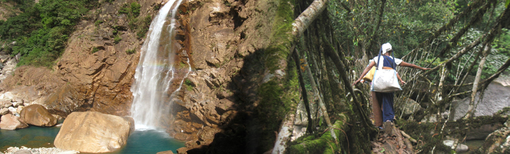 Travel Package to Double Decker Living Root Bridge Nongriat Trek Village Meghalaya India, Travel Itenary to Double Decker Living Root Bridge Nongriat Trek Village Meghalaya India, Tour Agent in india for Double Decker Living Root Bridge Nongriat Trek Village Meghalaya India, Travel Agency in India for Double Decker Living Root Bridge Nongriat Trek Village Meghalaya India, India reputed Travel Agent in Guwahati Assam Northeast India for Birding Bird Watching in Double Decker Living Root Bridge Nongriat Trek Village Meghalaya India Wildlife Low Cost Tour package Itenary, Tour Operator in India Northeast Guwahati Assam for Double Decker Living Root Bridge Nongriat Trek Village Meghalaya India Low cost Holiday Package, Leading Reputed Travel Agency in India Guwahati Assam Northeast for Wildlife Jungle Tour to Double Decker Living Root Bridge Nongriat Trek Village Meghalaya India National Park, Jeep Elephant Safari tour travel to Double Decker Living Root Bridge Nongriat Trek Village Meghalaya India Tiger National Park, Make you Trip to Rhino Tiger Reserve Double Decker Living Root Bridge Nongriat Trek Village Meghalaya India National Park, Just Dial to Us for Package tour travel tip information on Double Decker Living Root Bridge Nongriat Trek Village Meghalaya India National Park, Visit to Double Decker Living Root Bridge Nongriat Trek Village Meghalaya India tiger Rhino Reserve forest Conservation Foreign Tourist, Reputed Tour Operator Travel Agent Guwahati Assam India for Double Decker Living Root Bridge Nongriat Trek Village Meghalaya India Package Itenary at Low Cost Cheap Budget, Leading Travel Agent Tour Operator in India for Double Decker Living Root Bridge Nongriat Trek Village Meghalaya India, Famous Popular Best Low Cost Budget Package from India Travel Agency Agent Operator for Double Decker Living Root Bridge Nongriat Trek Village Meghalaya India Tour, Best & Leading Tour Travel Operator Agent Agency Company in Guwahati Assam Northeast India for Double Decker Living Root Bridge Nongriat Trek Village Meghalaya India, Incredible India Tourism Best Travel Companies Guwahati Assam Northeast India, Incredible Travel Package to Double Decker Living Root Bridge Nongriat Trek Village Meghalaya India, Incredible Tour Package Itenaries to Double Decker Living Root Bridge Nongriat Trek Village Meghalaya India, Travel tour Companies from Guwahati Assam Northeast India to Double Decker Living Root Bridge Nongriat Trek Village Meghalaya India, Double Decker Living Root Bridge Nongriat Trek Village Meghalaya India Tour Operator Travel Agent, Double Decker Living Root Bridge Nongriat Trek Village Meghalaya India National Park, Double Decker Living Root Bridge Nongriat Trek Village Meghalaya India Tour Operator, Double Decker Living Root Bridge Nongriat Trek Village Meghalaya India Travel Agent, Travel Agent Kaziranga, Double Decker Living Root Bridge Nongriat Trek Village Meghalaya India Packaged Tour, Tour Package Double Decker Living Root Bridge Nongriat Trek Village Meghalaya India, Itenary Double Decker Living Root Bridge Nongriat Trek Village Meghalaya India, Double Decker Living Root Bridge Nongriat Trek Village Meghalaya India Itenary, Rhino Double Decker Living Root Bridge Nongriat Trek Village Meghalaya India, Visit to Double Decker Living Root Bridge Nongriat Trek Village Meghalaya India, Tourist Spot Double Decker Living Root Bridge Nongriat Trek Village Meghalaya India, Tourist Destination Double Decker Living Root Bridge Nongriat Trek Village Meghalaya India, Trip to Double Decker Living Root Bridge Nongriat Trek Village Meghalaya India, Adventure Trip to Double Decker Living Root Bridge Nongriat Trek Village Meghalaya India, Leisure trip to Double Decker Living Root Bridge Nongriat Trek Village Meghalaya India, Birding Double Decker Living Root Bridge Nongriat Trek Village Meghalaya India, Trekking to Double Decker Living Root Bridge Nongriat Trek Village Meghalaya India, Tribal Tour Double Decker Living Root Bridge Nongriat Trek Village Meghalaya India, Heritage Tour Double Decker Living Root Bridge Nongriat Trek Village Meghalaya India, Bird Wacthing Double Decker Living Root Bridge Nongriat Trek Village Meghalaya India, Birding at Double Decker Living Root Bridge Nongriat Trek Village Meghalaya India, Honeymoon at Double Decker Living Root Bridge Nongriat Trek Village Meghalaya India, Zoological Tour Package Double Decker Living Root Bridge Nongriat Trek Village Meghalaya India, Zoological Tour to Double Decker Living Root Bridge Nongriat Trek Village Meghalaya India, Travel Agent for Zoological Tour Package Double Decker Living Root Bridge Nongriat Trek Village Meghalaya India, Tour Operator for Zoological Tour Double Decker Living Root Bridge Nongriat Trek Village Meghalaya India, Botanical Tour Package, Botanical Tour to Double Decker Living Root Bridge Nongriat Trek Village Meghalaya India, Travel Agent for Botanical Tour Package, Tour Operator for Botanical Tour, Birding Tour Operator Double Decker Living Root Bridge Nongriat Trek Village Meghalaya India, Wildlife Tour Operator Double Decker Living Root Bridge Nongriat Trek Village Meghalaya India, Best Travel Agency Agent Tour Operator Double Decker Living Root Bridge Nongriat Trek Village Meghalaya India, Jungle Safari Double Decker Living Root Bridge Nongriat Trek Village Meghalaya India, Jungle Trip to Double Decker Living Root Bridge Nongriat Trek Village Meghalaya India, Natural Holidays Leading Tour Operator Travel Agent Guwahati Assam Meghalaya Nagaland Arunachal Pradesh India, Honeymoon trip Tour Package to Double Decker Living Root Bridge Nongriat Trek Village Meghalaya India Guwahati Operator Travel Agent, List of Travel Agents in Guwahati Assam Northeast India for Double Decker Living Root Bridge Nongriat Trek Village Meghalaya India, List of Tour Operator in Guwahati Assam Northeast India, Travel Guide for Double Decker Living Root Bridge Nongriat Trek Village Meghalaya India, Tour Guide Double Decker Living Root Bridge Nongriat Trek Village Meghalaya India, Travel Tips for Double Decker Living Root Bridge Nongriat Trek Village Meghalaya India, Tourist place Double Decker Living Root Bridge Nongriat Trek Village Meghalaya India, Tourist attraction Double Decker Living Root Bridge Nongriat Trek Village Meghalaya India, Famous places in Northeast India Double Decker Living Root Bridge Nongriat Trek Village Meghalaya India, Travel Agencies Double Decker Living Root Bridge Nongriat Trek Village Meghalaya India, Tour Agencies Double Decker Living Root Bridge Nongriat Trek Village Meghalaya India, Low cost trip to Double Decker Living Root Bridge Nongriat Trek Village Meghalaya India, Best price for Double Decker Living Root Bridge Nongriat Trek Village Meghalaya India, Make a Trip to Double Decker Living Root Bridge Nongriat Trek Village Meghalaya India, Backpack to Double Decker Living Root Bridge Nongriat Trek Village Meghalaya India, Travellers Attraction in Northeast India Double Decker Living Root Bridge Nongriat Trek Village Meghalaya India, Elephant Safari in Double Decker Living Root Bridge Nongriat Trek Village Meghalaya India, Jeep safari in Double Decker Living Root Bridge Nongriat Trek Village Meghalaya India, Boating in Double Decker Living Root Bridge Nongriat Trek Village Meghalaya India, Place of Attraction Double Decker Living Root Bridge Nongriat Trek Village Meghalaya India, Tourist Attraction Double Decker Living Root Bridge Nongriat Trek Village Meghalaya India, Travel Companies in India for Double Decker Living Root Bridge Nongriat Trek Village Meghalaya India, Tour Companies in India for Double Decker Living Root Bridge Nongriat Trek Village Meghalaya India, Incredible India Double Decker Living Root Bridge Nongriat Trek Village Meghalaya India Northeast Tourism