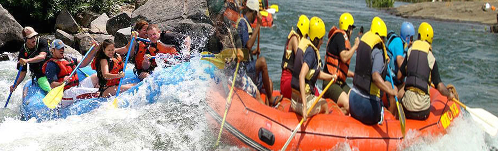 Best & Leading Tour Travel Operator Agent Agency Company in Guwahati Assam Northeast India for River Rafting Angling Trekking Jia Bhorali Siang River, Incredible India Tourism Best Travel Companies Guwahati Assam Northeast India, Incredible Travel Package to River Rafting Angling Trekking Jia Bhorali Siang River, Incredible Tour Package Itenaries to River Rafting Angling Trekking Jia Bhorali Siang River, Travel tour Companies from Guwahati Assam Northeast India to River Rafting Angling Trekking Jia Bhorali Siang River, River Rafting Angling Trekking Jia Bhorali Siang River Tour Operator Travel Agent, River Rafting Angling Trekking Jia Bhorali Siang River National Park, River Rafting Angling Trekking Jia Bhorali Siang River Tour Operator, River Rafting Angling Trekking Jia Bhorali Siang River Travel Agent, Travel Agent Kaziranga, River Rafting Angling Trekking Jia Bhorali Siang River Packaged Tour, Tour Package River Rafting Angling Trekking Jia Bhorali Siang River, Itenary River Rafting Angling Trekking Jia Bhorali Siang River, River Rafting Angling Trekking Jia Bhorali Siang River Itenary, Rhino River Rafting Angling Trekking Jia Bhorali Siang River, Visit to River Rafting Angling Trekking Jia Bhorali Siang River, Tourist Spot River Rafting Angling Trekking Jia Bhorali Siang River, Tourist Destination River Rafting Angling Trekking Jia Bhorali Siang River, Trip to River Rafting Angling Trekking Jia Bhorali Siang River, Adventure Trip to River Rafting Angling Trekking Jia Bhorali Siang River, Leisure trip to River Rafting Angling Trekking Jia Bhorali Siang River, Birding River Rafting Angling Trekking Jia Bhorali Siang River, Trekking to River Rafting Angling Trekking Jia Bhorali Siang River, Tribal Tour River Rafting Angling Trekking Jia Bhorali Siang River, Heritage Tour River Rafting Angling Trekking Jia Bhorali Siang River, Bird Wacthing River Rafting Angling Trekking Jia Bhorali Siang River, Birding at River Rafting Angling Trekking Jia Bhorali Siang River, Honeymoon at River Rafting Angling Trekking Jia Bhorali Siang River, Zoological Tour Package River Rafting Angling Trekking Jia Bhorali Siang River, Zoological Tour to River Rafting Angling Trekking Jia Bhorali Siang River, Travel Agent for Zoological Tour Package River Rafting Angling Trekking Jia Bhorali Siang River, Tour Operator for Zoological Tour River Rafting Angling Trekking Jia Bhorali Siang River, Botanical Tour Package, Botanical Tour to River Rafting Angling Trekking Jia Bhorali Siang River, Travel Agent for Botanical Tour Package, Tour Operator for Botanical Tour, Birding Tour Operator River Rafting Angling Trekking Jia Bhorali Siang River, Wildlife Tour Operator River Rafting Angling Trekking Jia Bhorali Siang River, Best Travel Agency Agent Tour Operator River Rafting Angling Trekking Jia Bhorali Siang River, Jungle Safari River Rafting Angling Trekking Jia Bhorali Siang River, Jungle Trip to River Rafting Angling Trekking Jia Bhorali Siang River, Natural Holidays Leading Tour Operator Travel Agent Guwahati Assam Meghalaya Nagaland Arunachal Pradesh India, Honeymoon trip Tour Package to River Rafting Angling Trekking Jia Bhorali Siang River Guwahati Operator Travel Agent, List of Travel Agents in Guwahati Assam Northeast India for River Rafting Angling Trekking Jia Bhorali Siang River, List of Tour Operator in Guwahati Assam Northeast India, Travel Guide for River Rafting Angling Trekking Jia Bhorali Siang River, Tour Guide River Rafting Angling Trekking Jia Bhorali Siang River, Travel Tips for River Rafting Angling Trekking Jia Bhorali Siang River, Tourist place River Rafting Angling Trekking Jia Bhorali Siang River, Tourist attraction River Rafting Angling Trekking Jia Bhorali Siang River, Famous places in Northeast India River Rafting Angling Trekking Jia Bhorali Siang River, Travel Agencies River Rafting Angling Trekking Jia Bhorali Siang River, Tour Agencies Bhalukpnog, Low cost trip to River Rafting Angling Trekking Jia Bhorali Siang River, Best price for River Rafting Angling Trekking Jia Bhorali Siang River, Make a Trip to River Rafting Angling Trekking Jia Bhorali Siang River, Backpack to River Rafting Angling Trekking Jia Bhorali Siang River, Travellers Attraction in Northeast India River Rafting Angling Trekking Jia Bhorali Siang River, Elephant Safari in River Rafting Angling Trekking Jia Bhorali Siang River, Jeep safari in River Rafting Angling Trekking Jia Bhorali Siang River, Boating in River Rafting Angling Trekking Jia Bhorali Siang River, Place of Attraction River Rafting Angling Trekking Jia Bhorali Siang River, Tourist Attraction River Rafting Angling Trekking Jia Bhorali Siang River, Travel Companies in India for River Rafting Angling Trekking Jia Bhorali Siang River, Tour Companies in India for River Rafting Angling Trekking Jia Bhorali Siang River, Incredible India River Rafting Angling Trekking Jia Bhorali Siang River Northeast Tourism, Adventure Travel Tour Package Itenaries Itenary by Leading Tour Travel Agency Agencies Company Operator in Guwahati Assam Northeast India