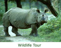 North east india tour package, north east tour package, best of north east india tours, tour north east india, best price gurantee on north east india tour packages, north east india tourism, best customized package north east india, cheap north east india tour package, north east india travel, tribes of north east india, tribal tour of north east  india, cheap tribal tour of north east india, well north east tour packages, cheap north east package, north east holiday packages, cheap north east holiday pacakage, north east packages,, north east india travel packages, north east wild life tour packages, cheap north east wild life tour packages,   cheap north east leisure holidays & tours, cheap north east adventure tours, north east adventure tours, cheap north east india adventure tours &travel, travel north east india, cheap travel north east india, north east tours, cheap north east india bird watcher tour, north east india bird watcher tour & travel, cheap cultural tours of north east india, cultural tours& travels north east india, best tour operator north east india, best travel agency of north east india, north east cultural tours, cheap north east cultural tour & travels, best cultural tours of north east india, trusted travel agency of north east india, pilgrim tour operator of north east inia, cheap pilgrim packages of north east india, cheap pilgrim tour operator of north east india, trusted travel & tour operator of north east, Assam tour package, assam  tour package, assam tours, tour assam, best price gurantee on  assam tour packages, assam  tourism, best customized package of assam, cheap assam  tour package, assam  travel, tribes of assam, tribal tour of assam, cheap tribal tour of assam, well assam packages, cheap assam package, assam holiday packages, cheap assam holiday pacakage, assam packages,, assam travel packages, assam  wild life tour packages, cheap assam wild life tour packages,   cheap assam leisure holidays & tours, cheap assam adventure tours, assam adventure tours, cheap assam adventure tours &travel, travel assam, cheap travel assam, assam tours, cheap assam  bird watcher tour, assam bird watcher tour & travel, cheap cultural tours of assam, cultural tours& travels assam, best tour operator in assam, best travel agency of assam, assam cultural tours, cheap assam cultural tour & travels, best cultural tours of assam, trusted travel agency in assam, pilgrim tour operator of assam, cheap pilgrim packages of assam, cheap pilgrim tour operator in assam, trusted travel & tour operator of kaziranga travel agent, cheap tour operator in kaziranga, kaziranga tour operator, kaziranga package tour, manas package tour,kamakhya tour package, majuli tour package, majuli tour operator, majuli travel agent, dibru saikhowa tour package, pobitora tour package,nameri tour package, golf tour package in assm, tea tourism, tea tour package in assam, heritage tour operator & travel agent of assam, historical tours & travels of assam,  historical tours of north east, north east tea tourism, heritage tours of north east, guwahati travel agent, guwahati tour package, cheap guwahati tour package,Meghalaya  tour package, shillong tour package, cherrapunji tours, tour mawlynong, best price gurantee on  meghalaya tour packages, meghalaya tourism, best customized package of meghalaya, cheap meghalaya tour package, meghalaya travel, tribes of meghalaya, tribal tour of meghalaya, cheap tribal tour of meghalaya, well meghalaya packages, cheap meghlya package, meghalaya holiday packages, cheap meghalaya holiday pacakage, meghalaya packages,, meghalaya travel packages, meghalaya  wild life tour packages, cheap Meghalaya wild life tour packages,   cheap meghalaya leisure holidays & tours, cheap meghalaya adventure tours, meghalaya  adventure tours, cheap meghalaya adventure tours &travel, travel meghalaya, cheap travel meghalaya, meghalaya tours, cheap meghalaya  bird watcher tour, meghalaya bird watcher tour & travel, cheap cultural tours of meghalaya, cultural tours& travels meghalaya, best tour operator in meghalaya, best travel agency of meghalaya, Meghalaya cultural tours, cheap meghalaya cultural tour & travels, best cultural tours of meghalaya, trusted travel agency in meghalaya, pilgrim tour operator of meghalaya, cheap pilgrim packages of meghalaya, cheap pilgrim tour operator, trusted travel & tour operator, Nagaland  tour package, horn bill festival  tour package, Nagaland tours, kohima tour Nagaland, best price guarantee on  Nagaland tour packages, Nagaland  tourism, best customized package of Nagaland, cheap Nagaland  tour package, Nagaland  travel, tribes of Nagaland, tribal tour of Nagaland, cheap tribal tour of Nagaland, well Nagaland packages, cheap Nagaland package, Nagaland holiday packages, cheap Nagaland holiday package, Nagaland packages, Nagaland travel packages, Nagaland  wild life tour packages, cheap Nagaland wild life tour packages,   cheap Nagaland leisure holidays & tours, cheap Nagaland adventure tours, Nagaland adventure tours, cheap Nagaland adventure tours &travel, travel Nagaland, cheap travel Nagaland, Nagaland tours, cheap Nagaland  bird watcher tour, Nagaland bird watcher tour & travel, cheap cultural tours of Nagaland, cultural tours& travels Nagaland, best tour operator in Nagaland, best travel agency of Nagaland, Nagaland cultural tours, cheap Nagaland cultural tour & travels, best cultural tours of Nagaland, trusted travel agency in Nagaland, pilgrim tour operator of Nagaland, cheap pilgrim packages of Nagaland, cheap pilgrim tour operator in Nagaland, trusted travel & tour operator of Nagaland travel agent, cheap tour operator in Nagaland, Nagaland tour operator, Nagaland package tour, Nagaland package tour, Nagaland tour package, Nagaland i tour package, Nagaland tour operator, Nagaland travel agent, Nagaland tour package, Nagaland tour package, Nagaland  tour package, Arunachal pradesh tour package, tawang festival  tour package, tawang tour, bomdila tour package, dirang tour package,Arunachal pradesh tours, Arunachal pradesh tour , best price gurantee on  Arunachal pradesh tour packages, Arunachal pradesh  tourism, best customized package of Arunachal pradesh, cheap Arunachal pradesh  tour package, Arunachal pradesh  travel, tribes of Arunachal pradesh, tribal tour of Arunachal pradesh, cheap tribal tour of Arunachal pradesh, well Arunachal pradesh packages, cheap Arunachal pradesh package, Arunachal pradesh holiday packages, cheap Arunachal pradesh holiday pacakage, Arunachal pradesh packages, Arunachal pradesh travel packages, Arunachal pradesh  wild life tour packages, cheap Arunachal pradesh wild life tour packages,   cheap Arunachal pradesh leisure holidays & tours, cheap Arunachal pradesh adventure tours, Arunachal pradesh adventure tours, cheap Arunachal pradesh adventure tours &travel, travel Arunachal pradesh, cheap travel Arunachal pradesh, Arunachal pradesh tours, cheap Arunachal pradesh  bird watcher tour, Arunachal pradesh bird watcher tour & travel, cheap cultural tours of Arunachal pradesh, cultural tours& travels Arunachal pradesh, best tour operator in Arunachal pradesh, best travel agency of Arunachal pradesh, Arunachal pradesh cultural tours, cheap Arunachal pradesh cultural tour & travels, best cultural tours of Arunachal pradesh, trusted travel agency in Arunachal ,pradesh pilgrim tour operator of Arunachal Pradesh, cheap pilgrim packages of Arunachal pradesh, cheap pilgrim tour operator in Arunachal pradesh, trusted travel & tour operator of Arunachal pradesh travel agent, cheap tour operator in Arunachal Pradesh, Arunachal pradesh tour operator, Arunachal pradesh package tour, Arunachal pradesh package tour, Arunachal pradesh tour package, Arunachal pradesh tour package, Arunachal pradesh tour operator, Arunachal pradesh travel agent, Arunachal pradesh tour package, Arunachal pradesh tour package, Arunachal pradesh  tour package, Sikkim tour operator, Sikkim travel agent, package tour for Sikkim, cheap Sikkim package tour, Darjeeling package tour, Darjeeling travel agent, Darjeeling tour operator, Darjeeling package tours, cheap Darjeeling package tour, cheap Darjeeling travel package