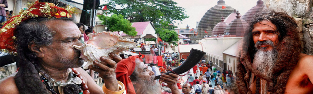 Ambubachi Mela Kamakhya Temple Guwahati Northeast India Tour Operator Travel Agent, Ambubachi Mela Kamakhya Temple Guwahati Northeast India National Park, Ambubachi Mela Kamakhya Temple Guwahati Northeast India Tour Operator, Ambubachi Mela Kamakhya Temple Guwahati Northeast India Travel Agent, Travel Agent Kaziranga, Ambubachi Mela Kamakhya Temple Guwahati Northeast India Packaged Tour, Tour Package Ambubachi Mela Kamakhya Temple Guwahati Northeast India, Itenary Ambubachi Mela Kamakhya Temple Guwahati Northeast India, Ambubachi Mela Kamakhya Temple Guwahati Northeast India Itenary, Rhino Ambubachi Mela Kamakhya Temple Guwahati Northeast India, Visit to Ambubachi Mela Kamakhya Temple Guwahati Northeast India, Tourist Spot Ambubachi Mela Kamakhya Temple Guwahati Northeast India, Tourist Destination Ambubachi Mela Kamakhya Temple Guwahati Northeast India