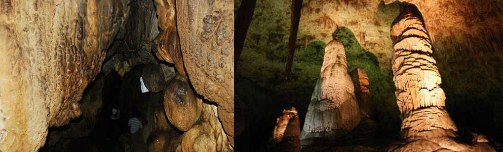 The Caves of Meghalaya comprise a large number of caves in the Jaintia, Khasi Hills and Garo Hills districts in the Indian state of Meghalaya, and are amongst the longest caves in the world. Caves Tour Operator Travel Agent, Caves National Park, Caves Tour Operator, Caves Travel Agent, Travel Agent Kaziranga, Caves Packaged Tour, Tour Package Caves, Itenary Caves, Caves Itenary, Rhino Caves, Visit to Caves, Tourist Spot Caves, Tourist Destination Caves