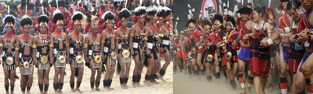 Hornbill Festival Tour Operator Travel Agent, Hornbill Festival National Park, Hornbill Festival Tour Operator, Hornbill Festival Travel Agent, Travel Agent Kaziranga, Hornbill Festival Packaged Tour, Tour Package Hornbill Festival, Itenary Hornbill Festival, Hornbill Festival Itenary, Rhino Hornbill Festival, Visit to Hornbill Festival, Tourist Spot Hornbill Festival, Tourist Destination Hornbill Festival