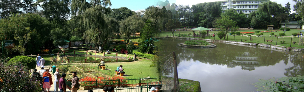 Lady Hydari Park Shillong Tour Operator Travel Agent, Lady Hydari Park Shillong National Park, Lady Hydari Park Shillong Tour Operator, Lady Hydari Park Shillong Travel Agent, Travel Agent Kaziranga, Lady Hydari Park Shillong Packaged Tour, Tour Package Lady Hydari Park Shillong, Itenary Lady Hydari Park Shillong, Lady Hydari Park Shillong Itenary, Rhino Lady Hydari Park Shillong, Visit to Lady Hydari Park Shillong, Tourist Spot Lady Hydari Park Shillong, Tourist Destination Lady Hydari Park Shillong, Trip to Lady Hydari Park Shillong, Adventure Trip to Lady Hydari Park Shillong, Leisure trip to Lady Hydari Park Shillong, Birding Lady Hydari Park Shillong, Trekking to Lady Hydari Park Shillong, Tribal Tour Lady Hydari Park Shillong, Heritage Tour Lady Hydari Park Shillong, Bird Wacthing Lady Hydari Park Shillong, Birding at Lady Hydari Park Shillong, Honeymoon at Lady Hydari Park Shillong, Zoological Tour Package Lady Hydari Park Shillong, Zoological Tour to Lady Hydari Park Shillong, Travel Agent for Zoological Tour Package Lady Hydari Park Shillong, Tour Operator for Zoological Tour Lady Hydari Park Shillong, Botanical Tour Package, Botanical Tour to Lady Hydari Park Shillong, Travel Agent for Botanical Tour Package, Tour Operator for Botanical Tour, Birding Tour Operator Lady Hydari Park Shillong, Wildlife Tour Operator Lady Hydari Park Shillong, Best Travel Agency Agent Tour Operator Lady Hydari Park Shillong, Jungle Safari Lady Hydari Park Shillong, Jungle Trip to Lady Hydari Park Shillong, Natural Holidays Leading Tour Operator Travel Agent Guwahati Assam Meghalaya Nagaland Arunachal Pradesh India, Honeymoon trip Tour Package to Lady Hydari Park Shillong Guwahati Operator Travel Agent, Tourist place in Shllong, Assam Tourism, Meghalaya Tourism, Tourist spots in Assam Meghalaya, Recreational places in Shillong Meghalaya Northeast India, Tourism in Northeast India, Tourist Agents in Guwahati Assam Shillong Meghalaya, Ornamental Flowers in Shillong, Shillong Travel Guide, Travel Guide Guwahati Assam  Northeast India