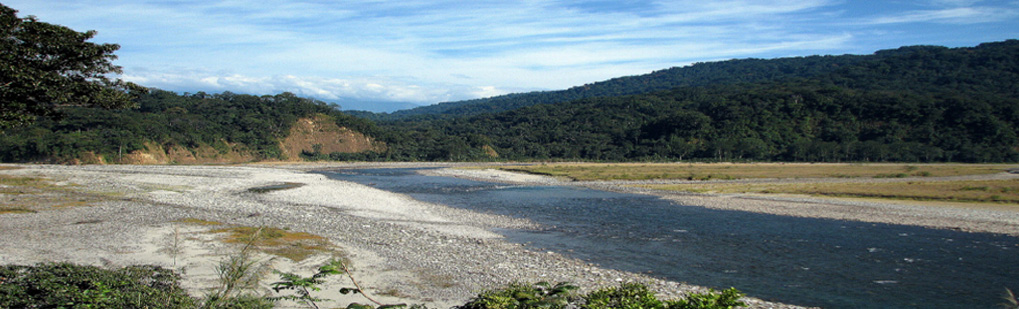 Roing Tour Operator Travel Agent, Roing National Park, Roing Tour Operator, Roing Travel Agent, Travel Agent Kaziranga, Roing Packaged Tour, Tour Package Roing, Itenary Roing, Roing Itenary, Rhino Roing, Visit to Roing, Tourist Spot Roing, Tourist Destination Roing, Birding in NAMDAPHA India, Bird Watching in NAMDAPHA India, Birding Destionation in NAMDAPHA India, National Park Birding, Bird Watcher in NAMDAPHA India, Places for Bird Watching in NAMDAPHA India, Birding Tour Package, Bird Watching Tour Package, Tour Operator for Birding in NAMDAPHA , Travel Agent for Birding in NAMDAPHA , Bird Watching Itenary, Itenary for Wildlife Birding NAMDAPHA India, Package Tour for Birding in NAMDAPHA India, Birding India Tours, Bird Watching Tour, Tourist Attraction Birding in NAMDAPHA India, Tourist Destionation Bird Watching places in NAMDAPHA India