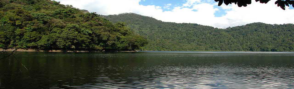Roing Tour Operator Travel Agent, Roing National Park, Roing Tour Operator, Roing Travel Agent, Travel Agent Kaziranga, Roing Packaged Tour, Tour Package Roing, Itenary Roing, Roing Itenary, Rhino Roing, Visit to Roing, Tourist Spot Roing, Tourist Destination Roing