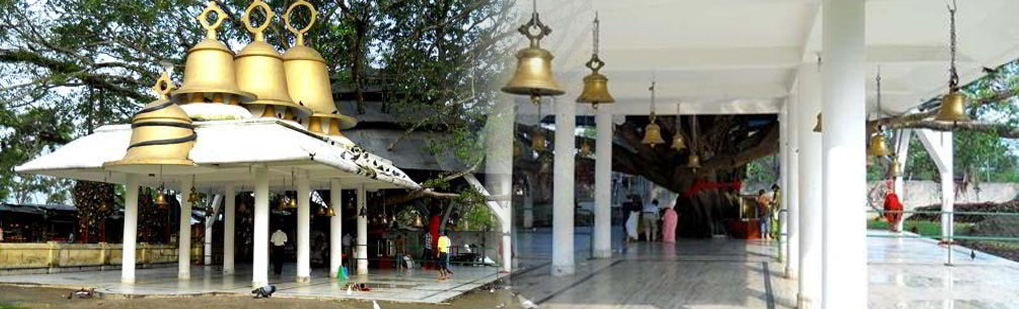 Tilinga Mandir Pilgrim Tour Package, TinsukiaTour Operator, TinsukiaTravel Agent Tour Operator Travel Agent, Tilinga Mandir Pilgrim Tour Package, TinsukiaTour Operator, TinsukiaTravel Agent National Park, Tilinga Mandir Pilgrim Tour Package, TinsukiaTour Operator, TinsukiaTravel Agent Tour Operator, Tilinga Mandir Pilgrim Tour Package, TinsukiaTour Operator, TinsukiaTravel Agent Travel Agent, Travel Agent Kaziranga, Tilinga Mandir Pilgrim Tour Package, TinsukiaTour Operator, TinsukiaTravel Agent Packaged Tour, Tour Package Tilinga Mandir Pilgrim Tour Package, TinsukiaTour Operator, TinsukiaTravel Agent, Itenary Tilinga Mandir Pilgrim Tour Package, TinsukiaTour Operator, TinsukiaTravel Agent, Tilinga Mandir Pilgrim Tour Package, TinsukiaTour Operator, TinsukiaTravel Agent Itenary, Rhino Tilinga Mandir Pilgrim Tour Package, TinsukiaTour Operator, TinsukiaTravel Agent, Visit to Tilinga Mandir Pilgrim Tour Package, TinsukiaTour Operator, TinsukiaTravel Agent, Tourist Spot Tilinga Mandir Pilgrim Tour Package, TinsukiaTour Operator, TinsukiaTravel Agent, Tourist Destination Tilinga Mandir Pilgrim Tour Package, TinsukiaTour Operator, TinsukiaTravel Agent